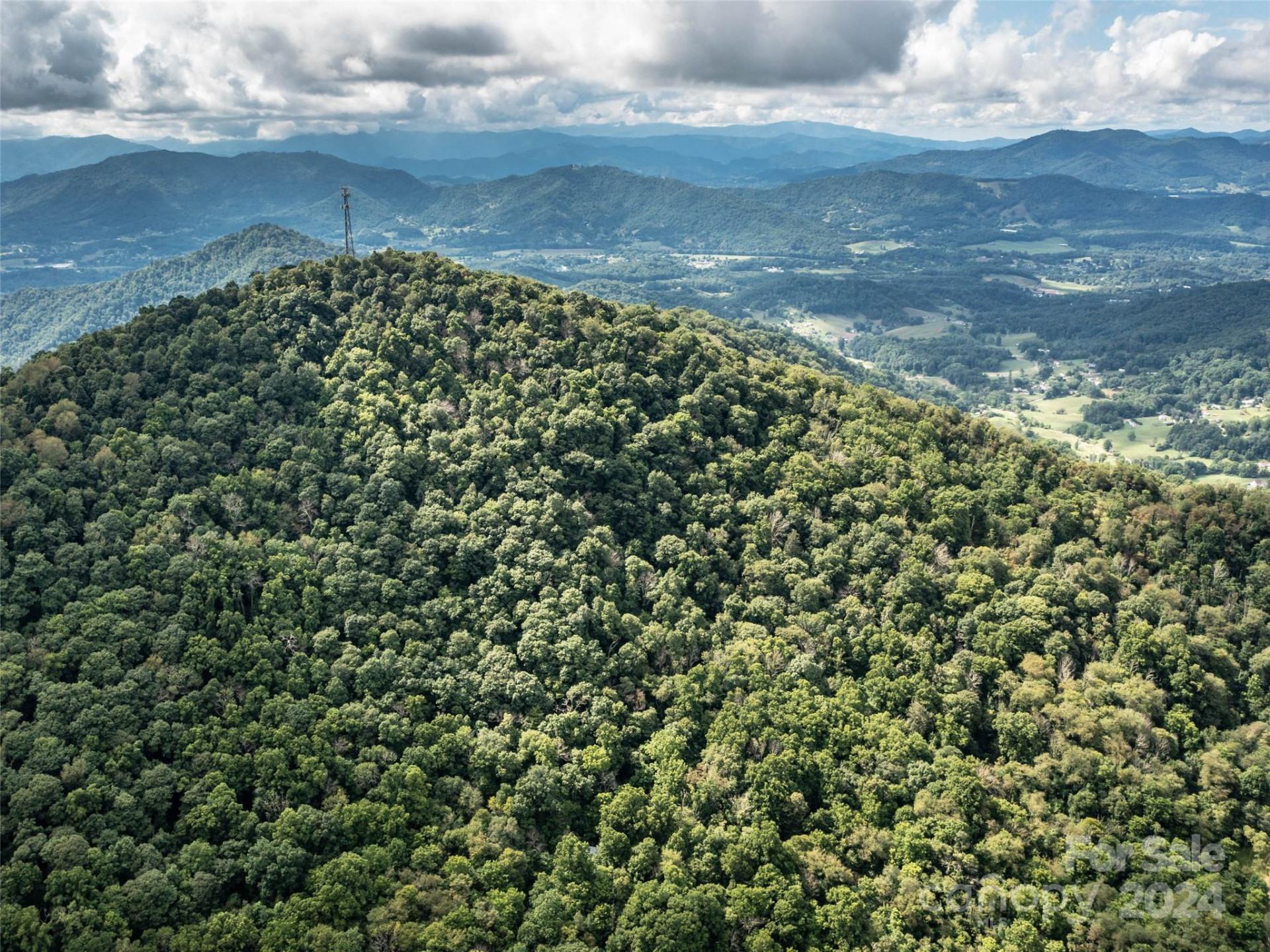 1001 Mountain Glen Road - Photo 44