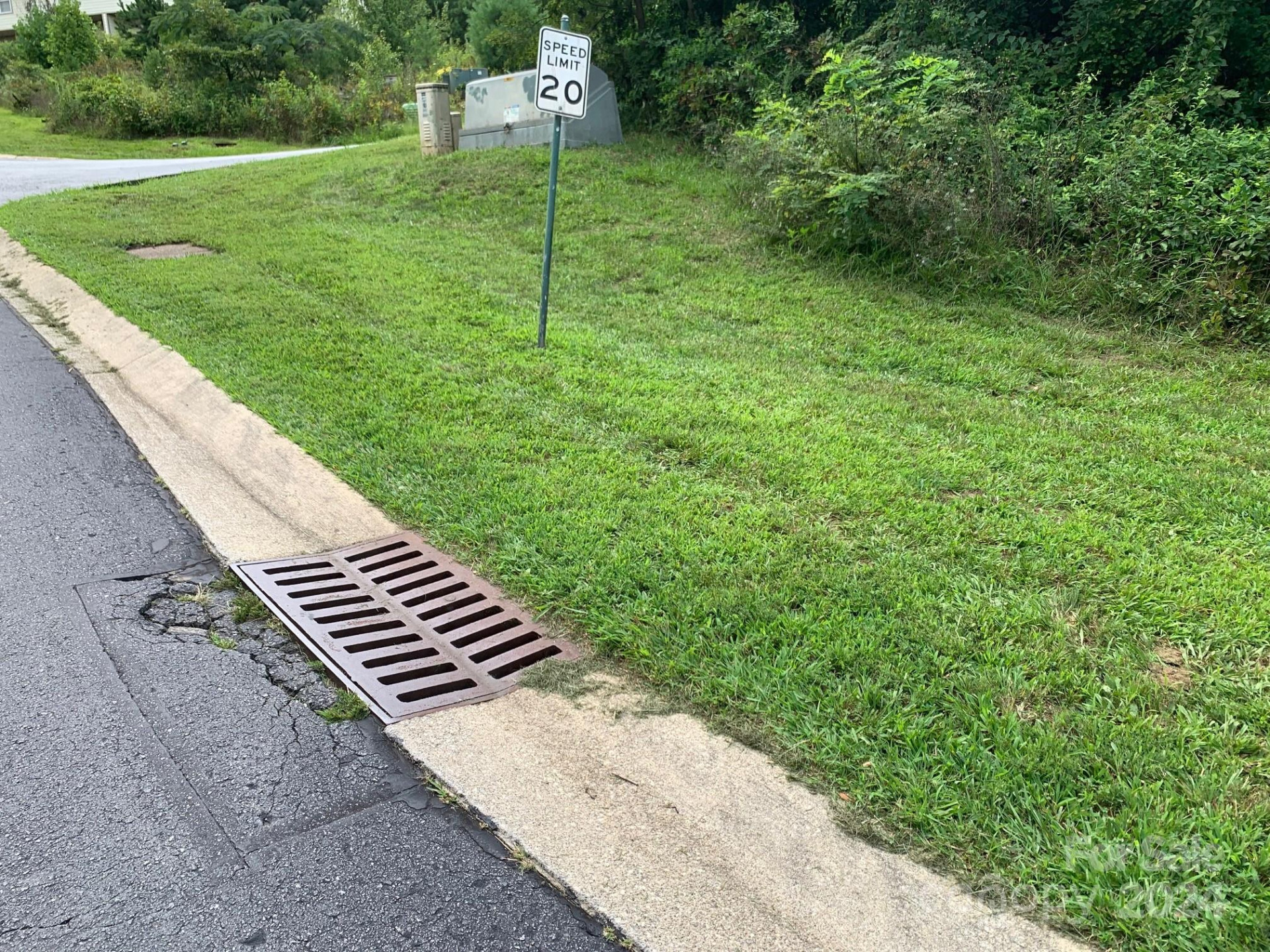 99999 Fallen Spruce Drive - Photo 4