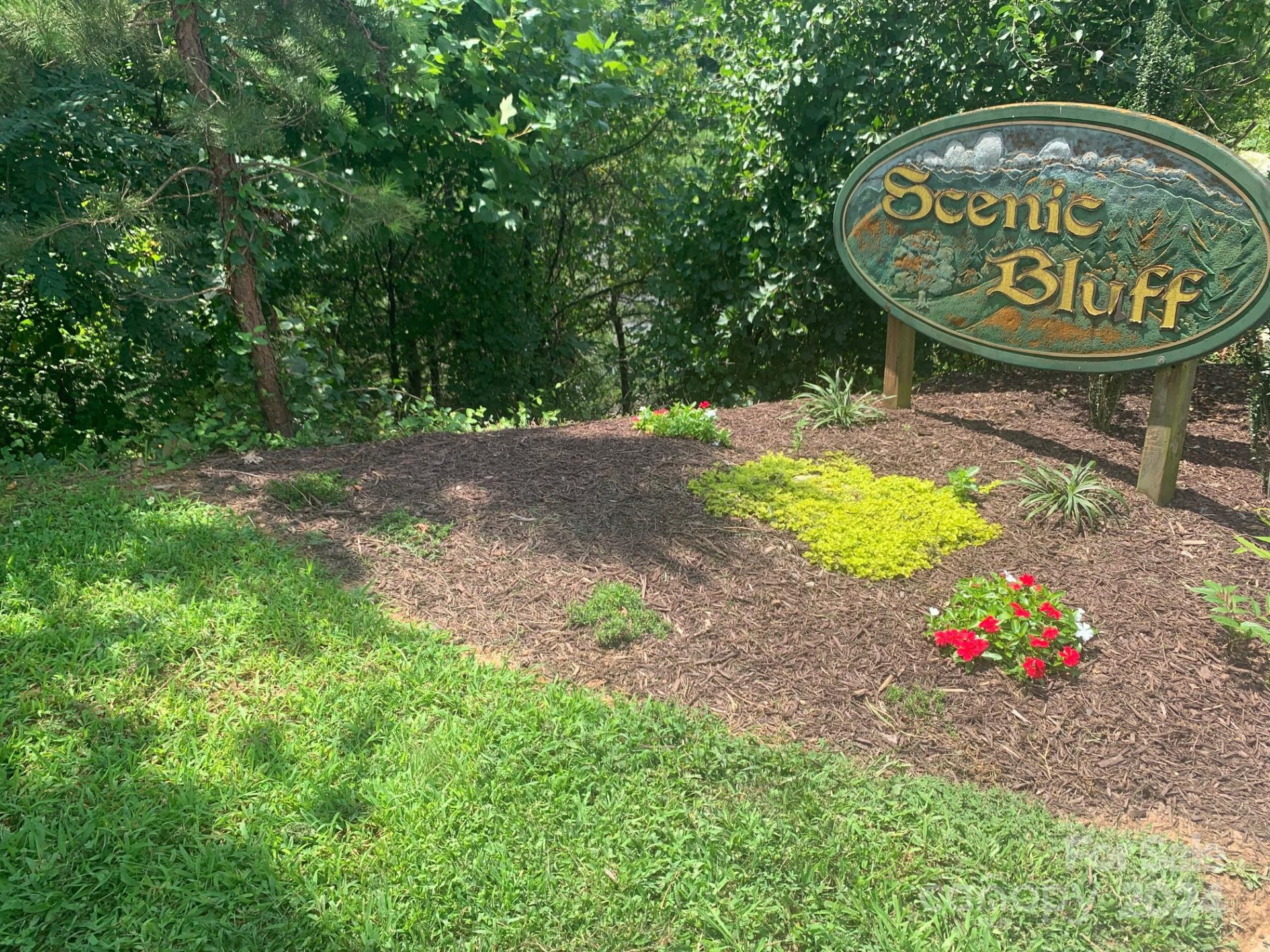 99999 Fallen Spruce Drive - Photo 6