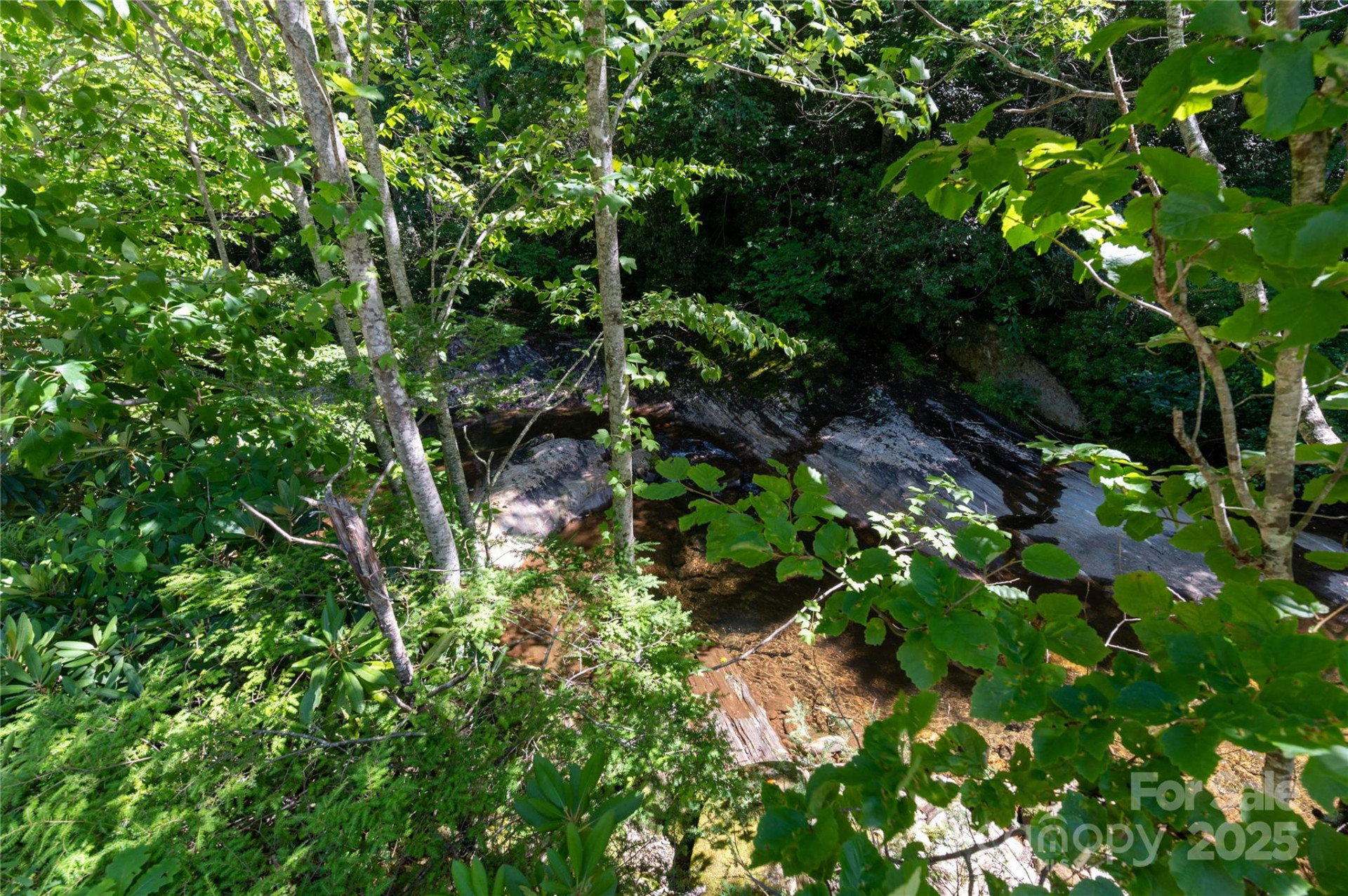 1220 Rock Creek Road - Photo 15