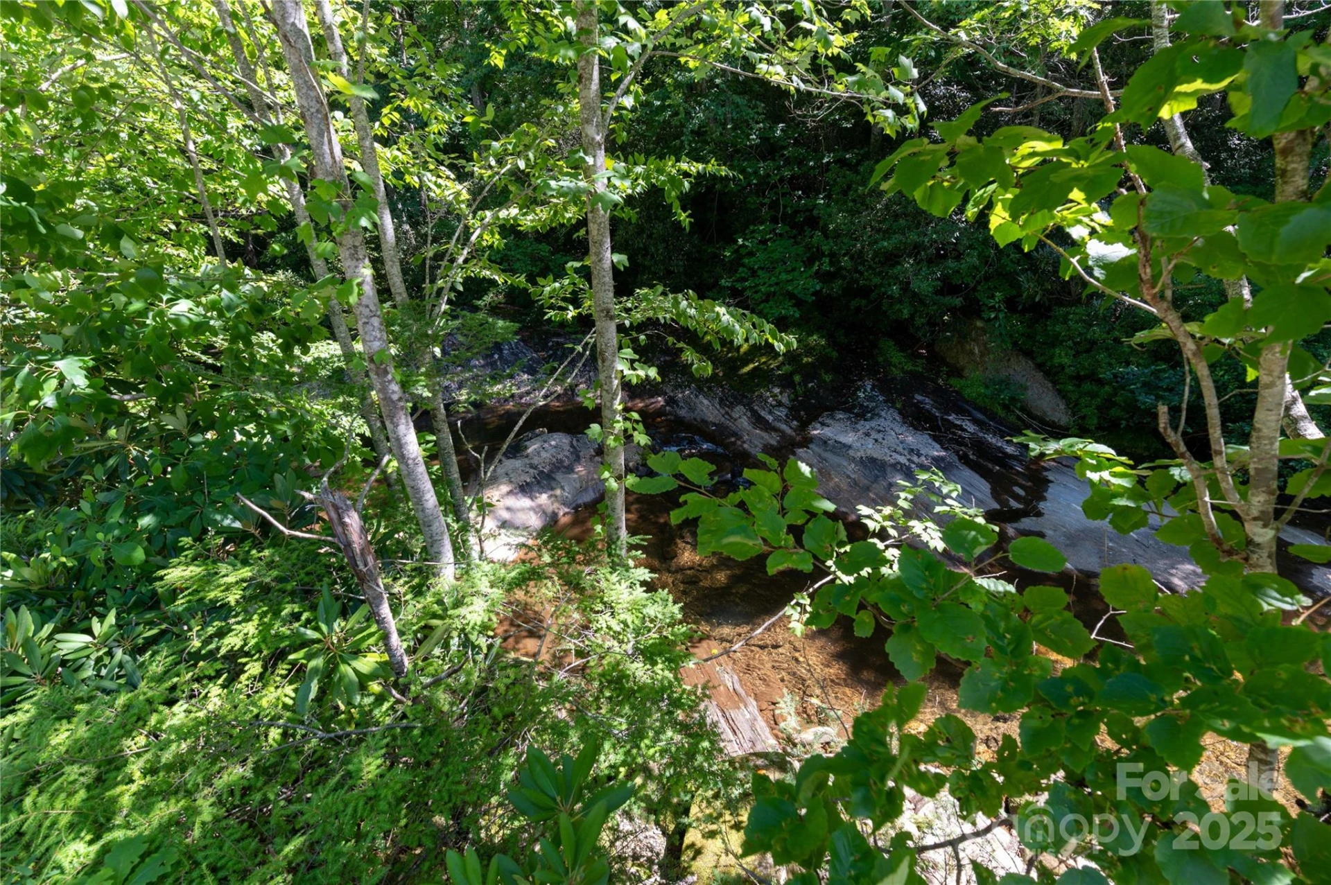 1220 Rock Creek Road - Photo 15