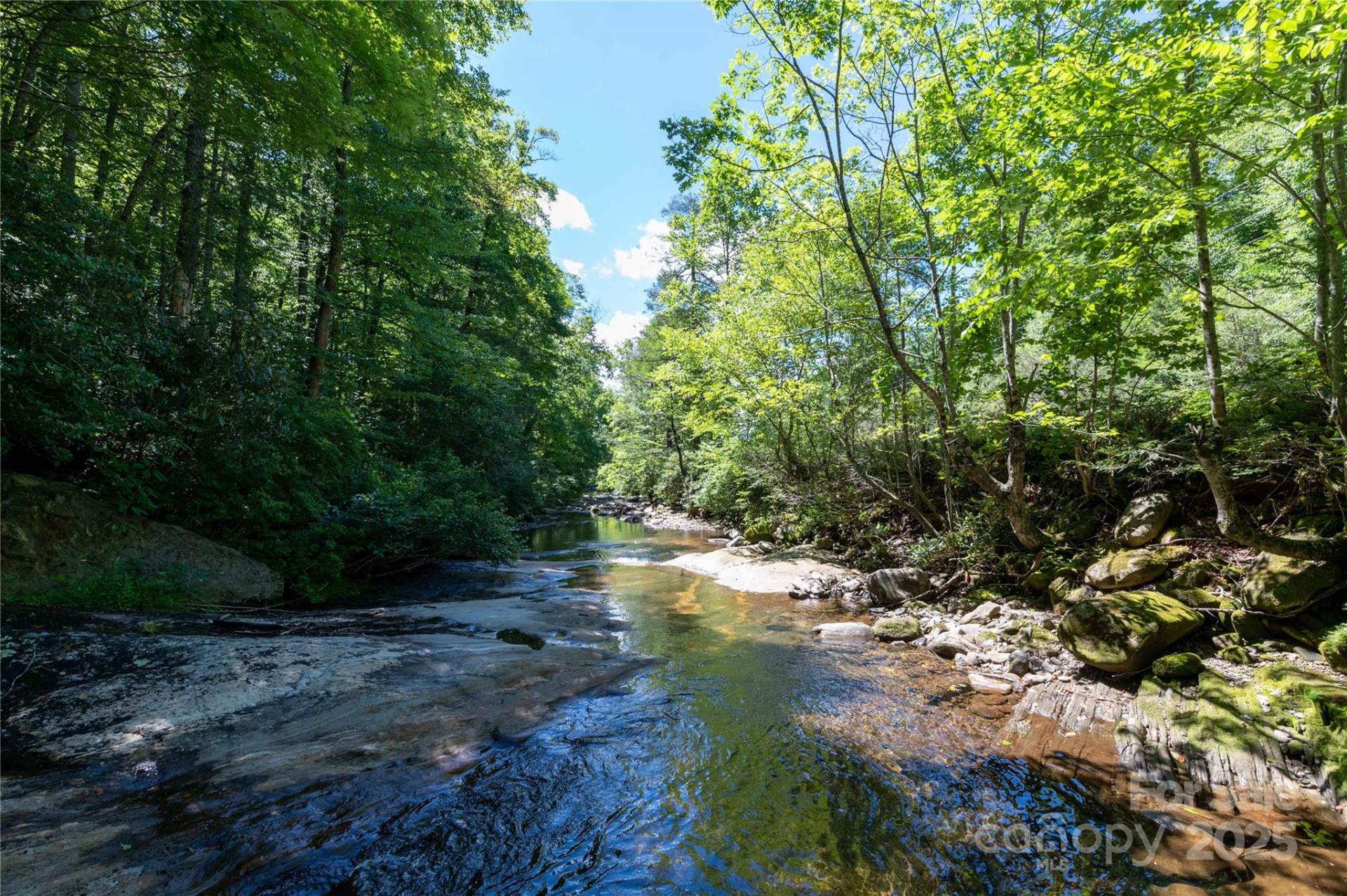 1220 Rock Creek Road - Photo 17