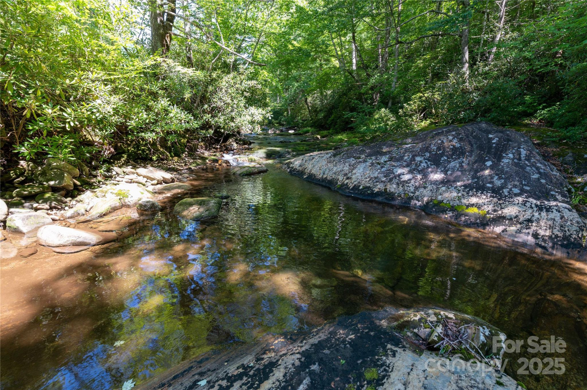 1220 Rock Creek Road - Photo 19