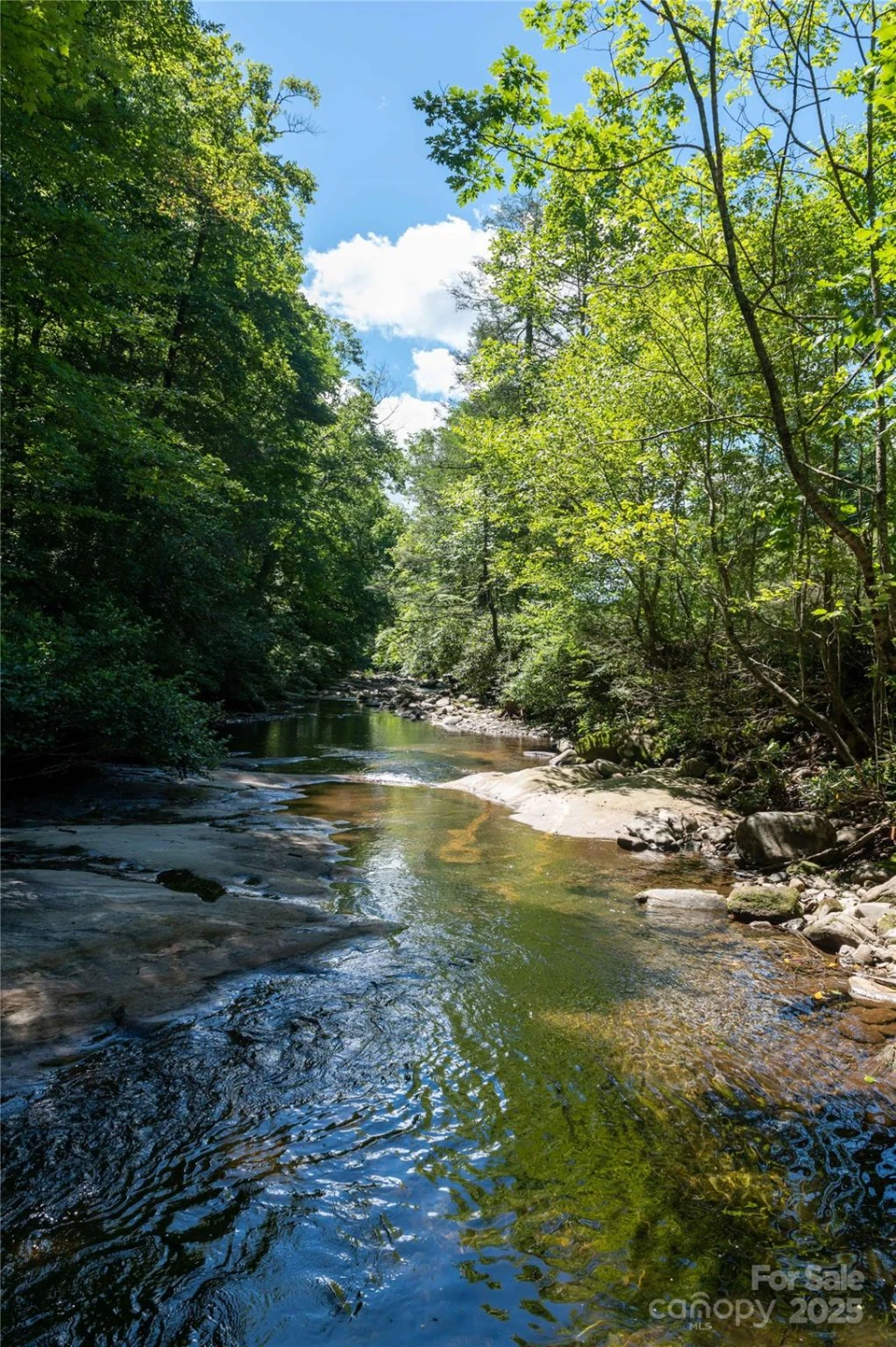 1220 Rock Creek Road - Photo 22