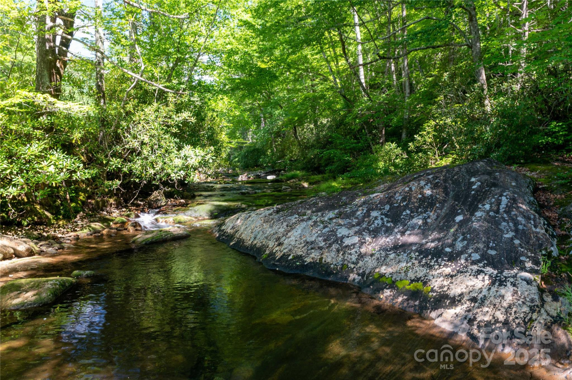 1220 Rock Creek Road - Photo 23