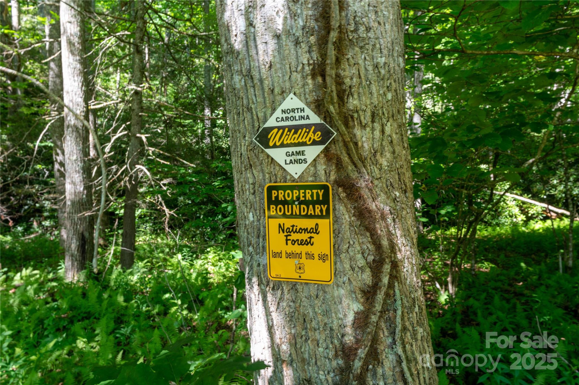 1220 Rock Creek Road - Photo 5