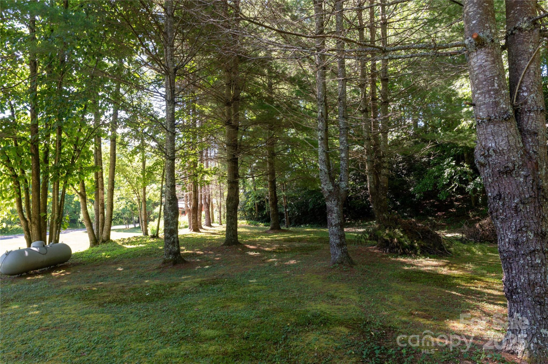 1220 Rock Creek Road - Photo 6