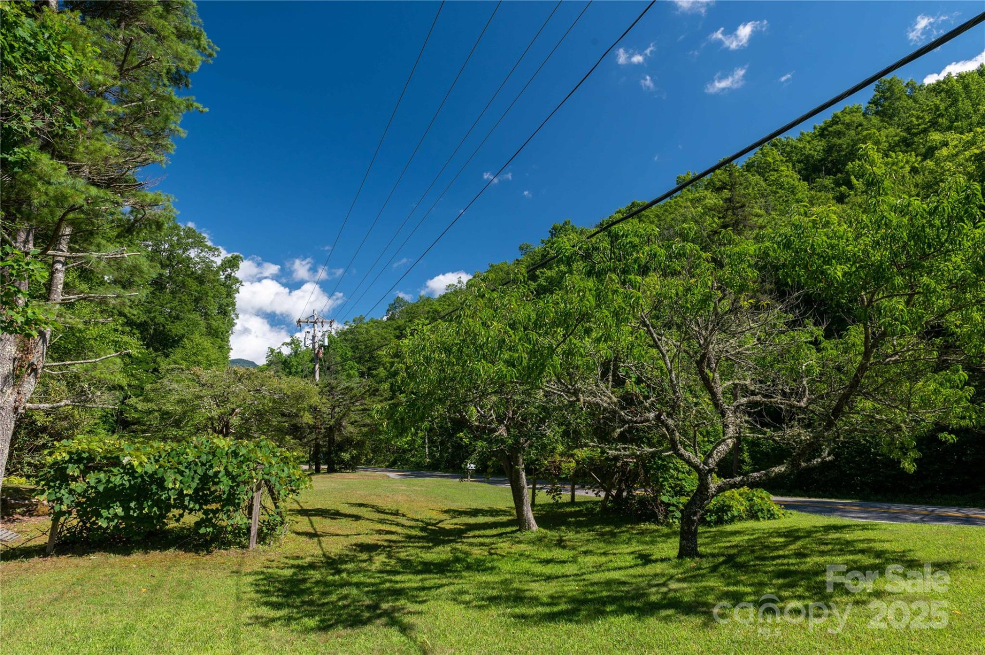 1220 Rock Creek Road - Photo 7