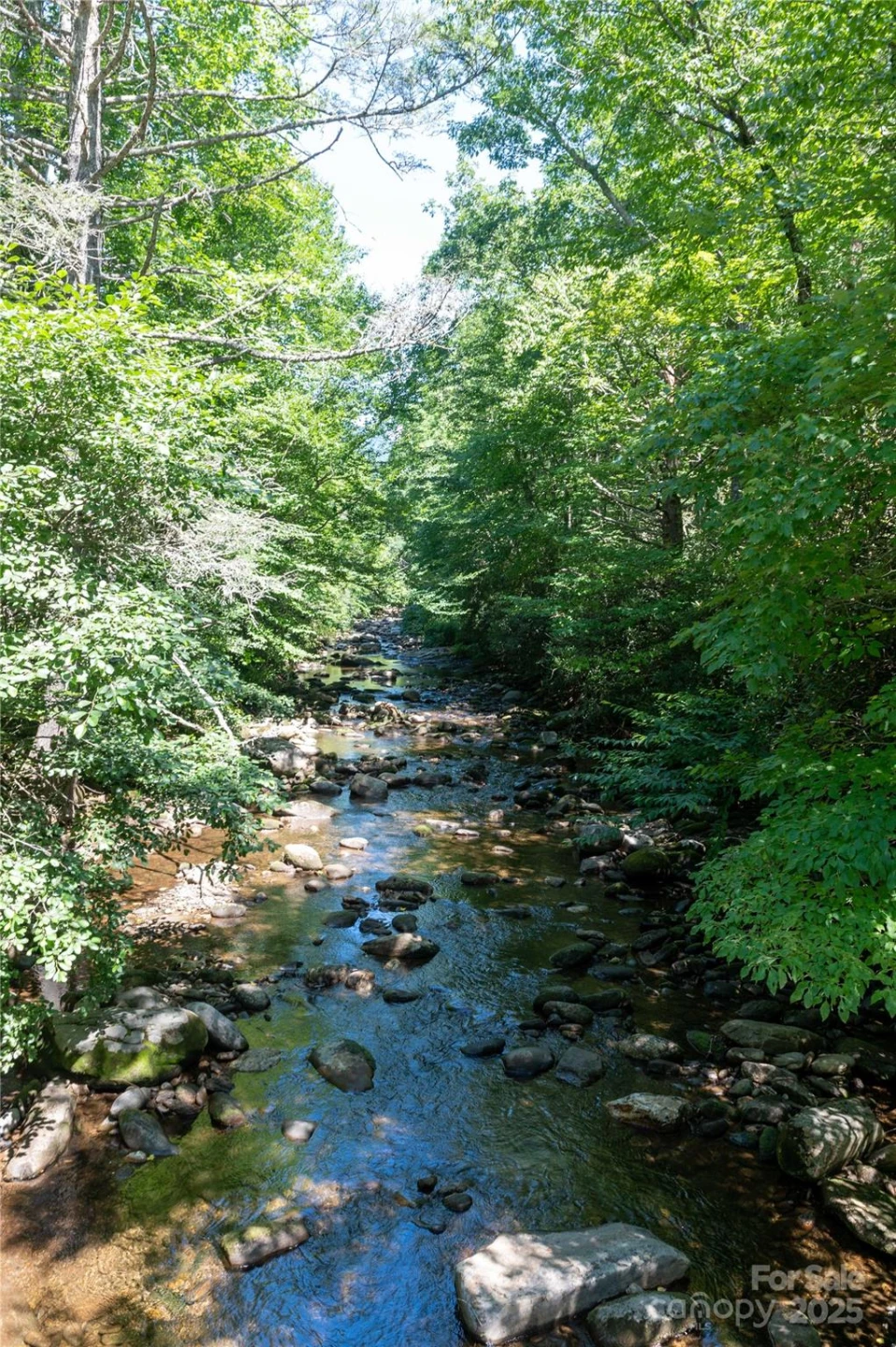 1220 Rock Creek Road - Photo 9