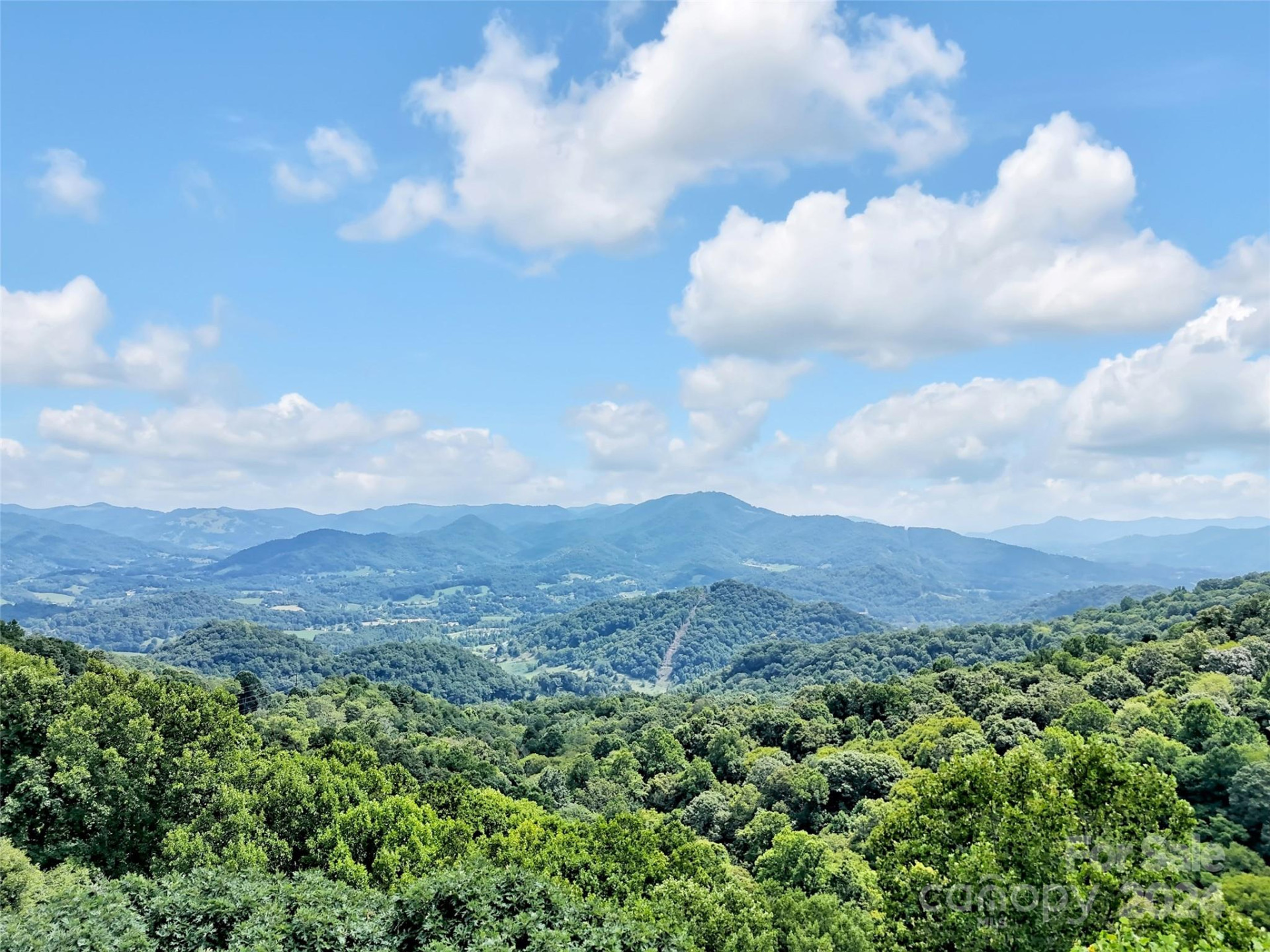 0000 Brigham Drive - Photo 3