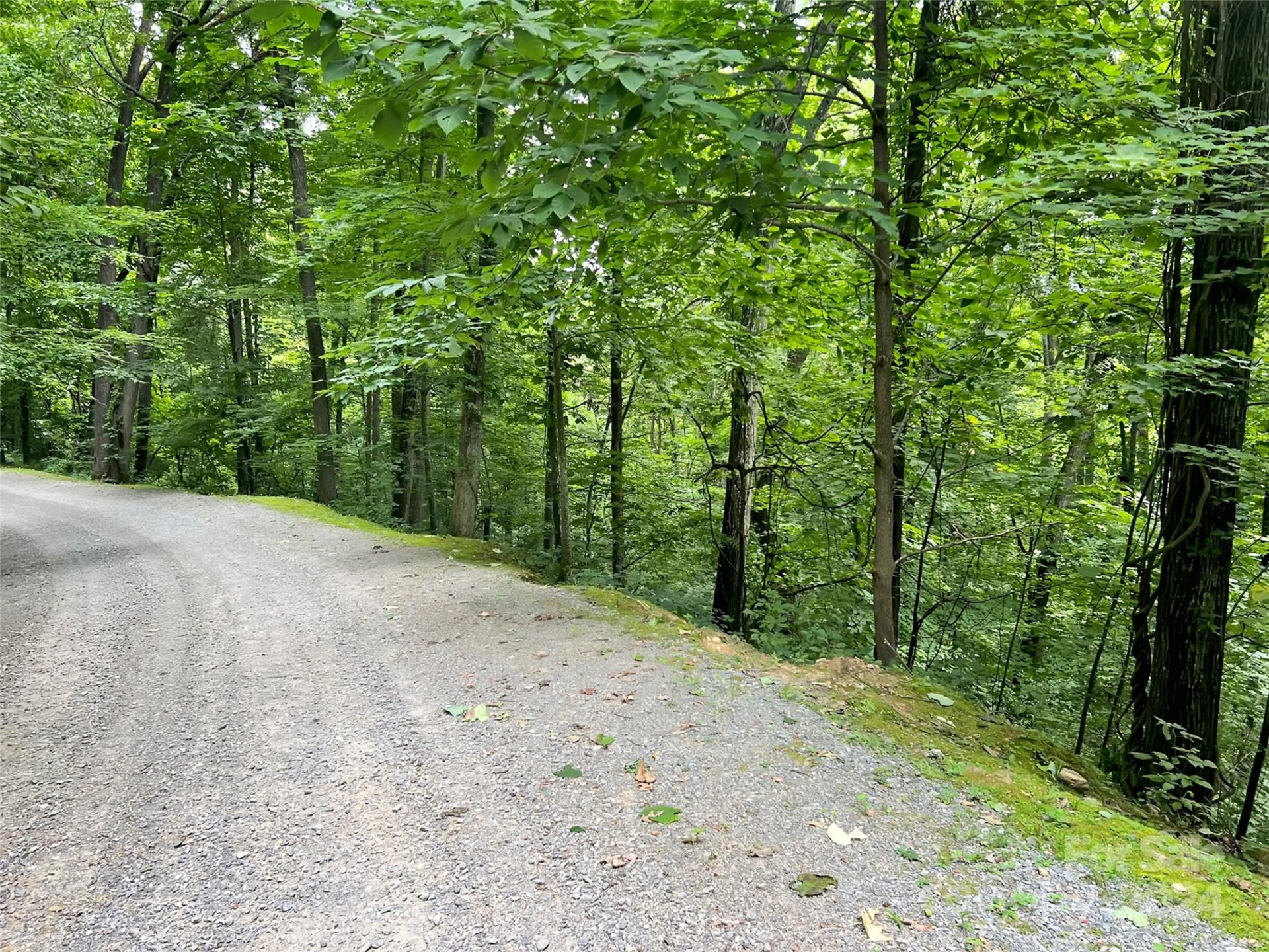 0000 Brigham Drive - Photo 5