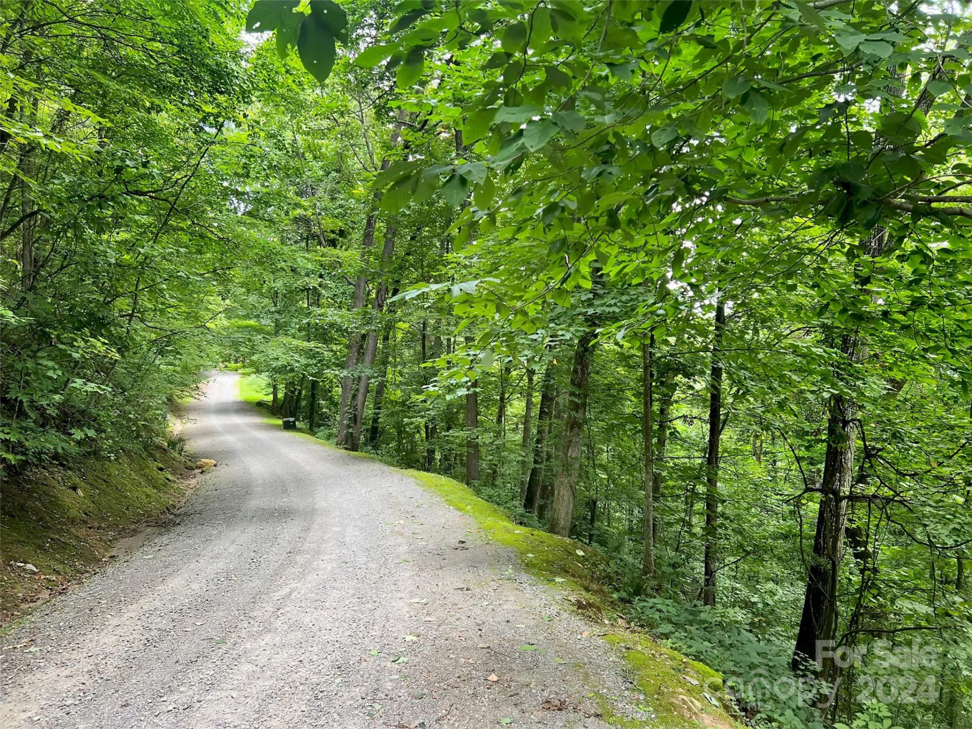 0000 Brigham Drive - Photo 7