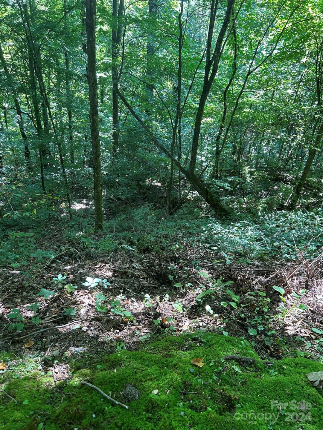 0000 Brigham Drive - Photo 8