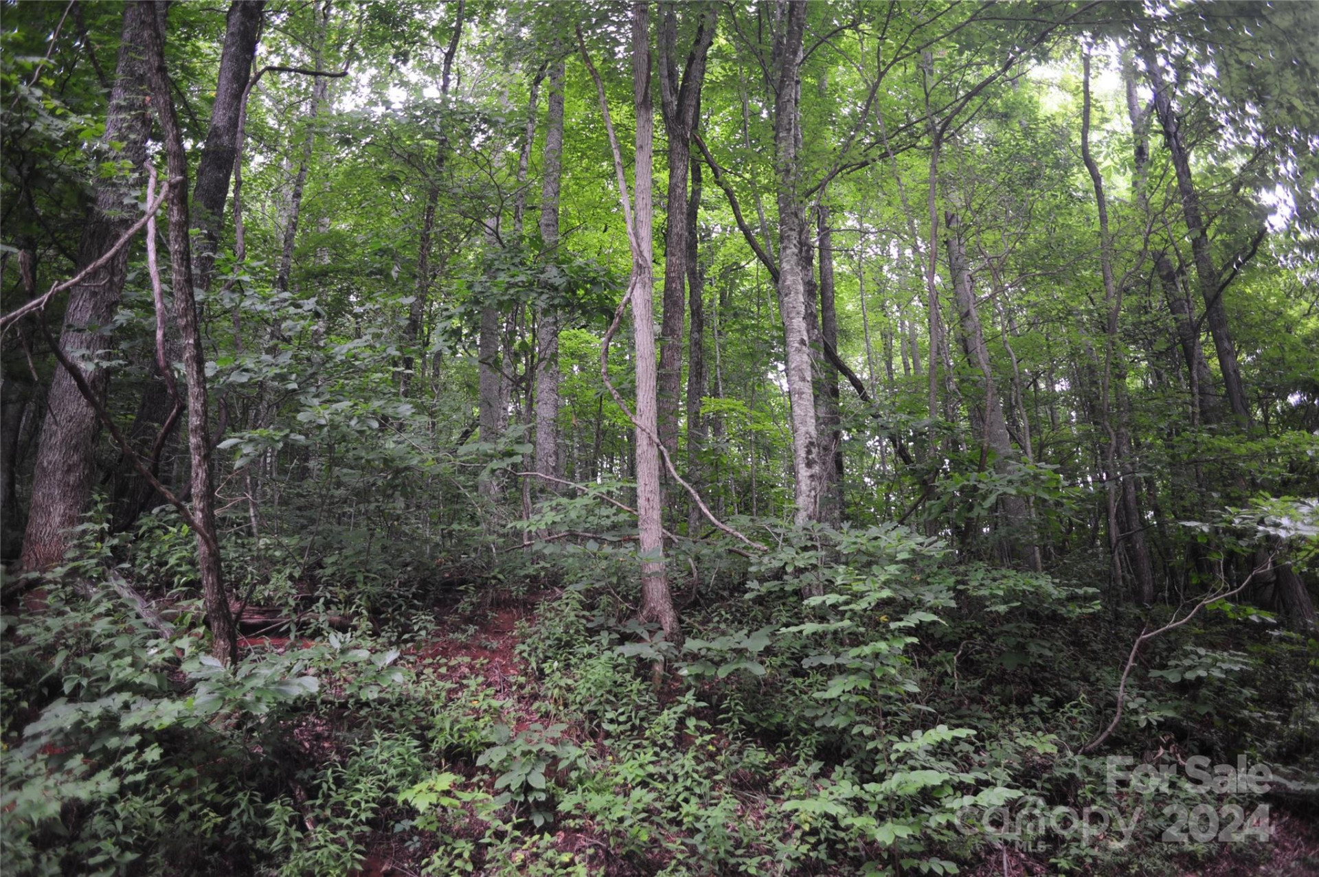 132 Ironwood Lane ##C17/C18 - Photo 2