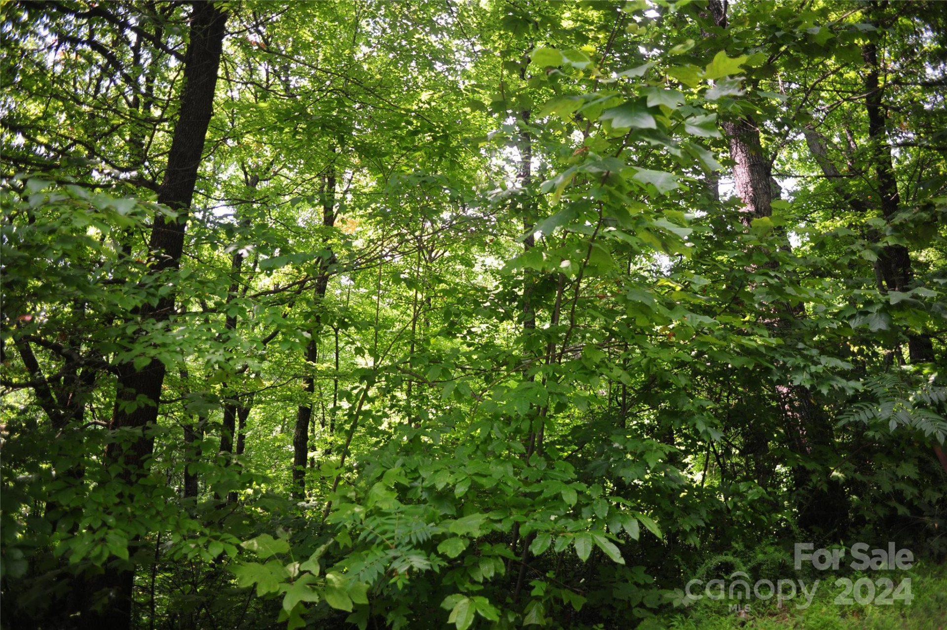 132 Ironwood Lane ##C17/C18 - Photo 11