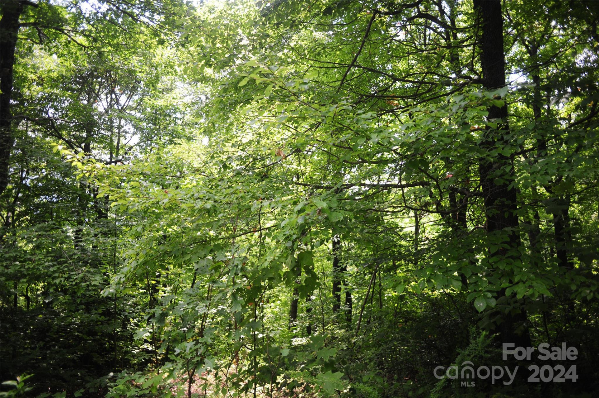 132 Ironwood Lane ##C17/C18 - Photo 12