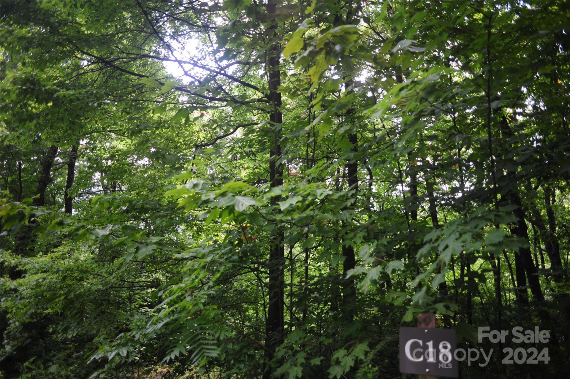 132 Ironwood Lane ##C17/C18 - Photo 13