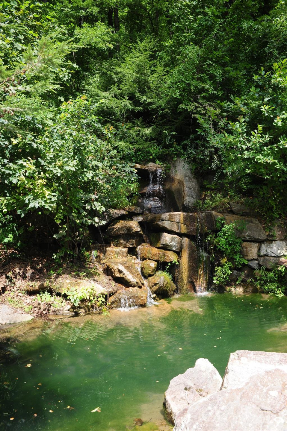 132 Ironwood Lane ##C17/C18 - Photo 16