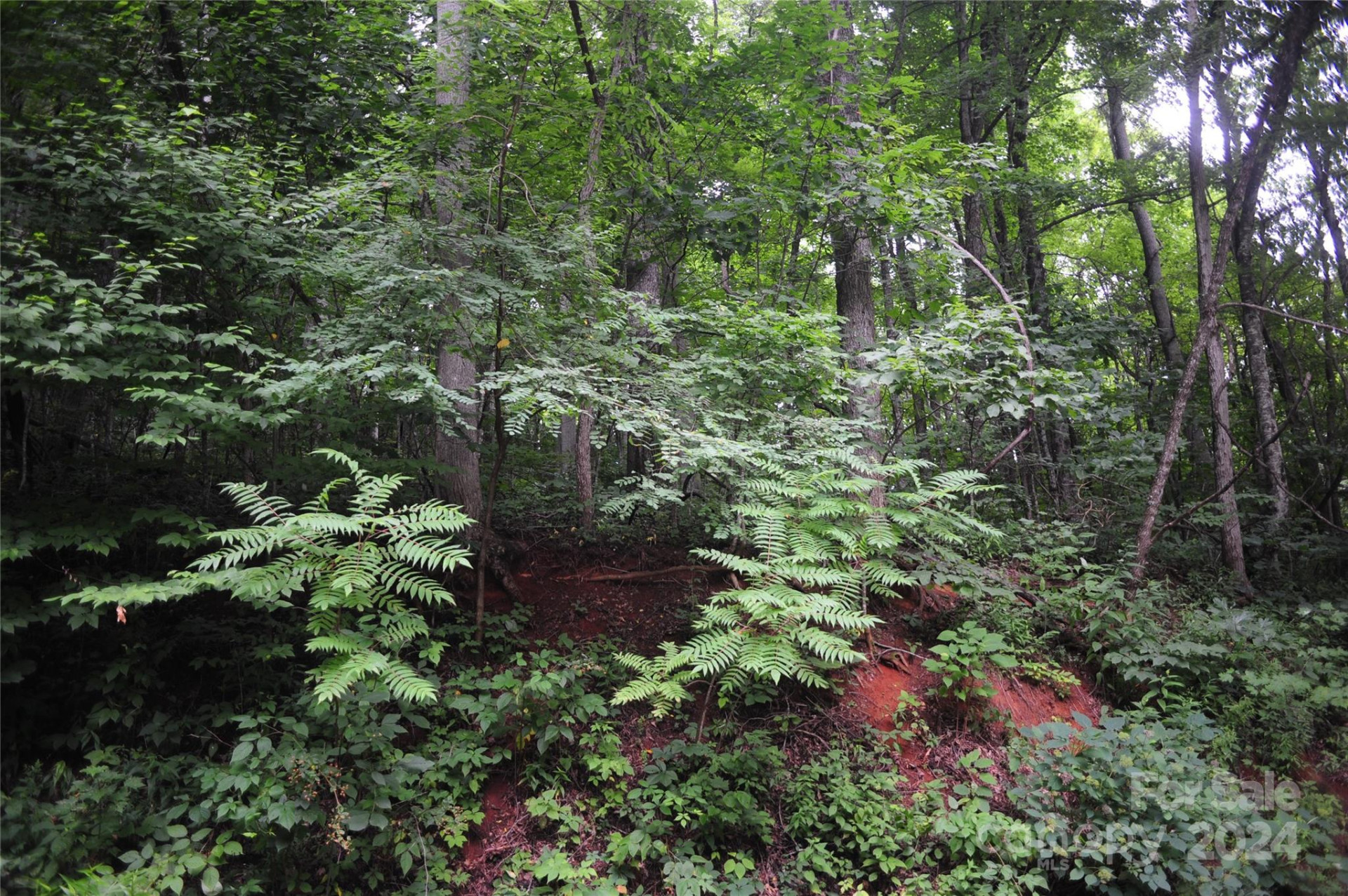 132 Ironwood Lane ##C17/C18 - Photo 3