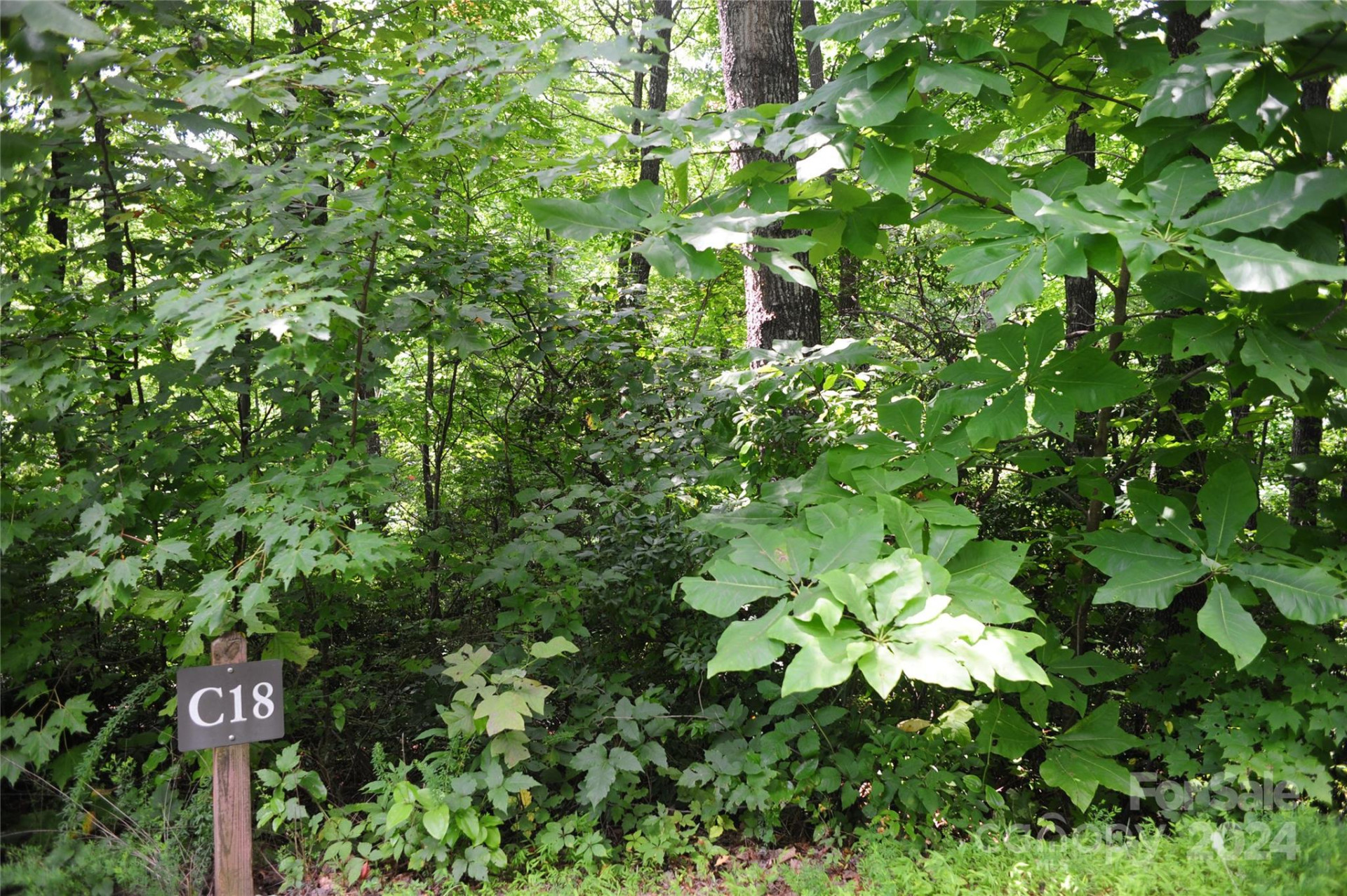 132 Ironwood Lane ##C17/C18 - Photo 4