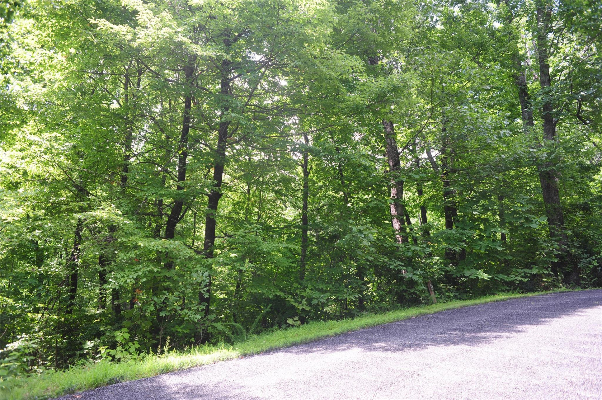 132 Ironwood Lane ##C17/C18 - Photo 5