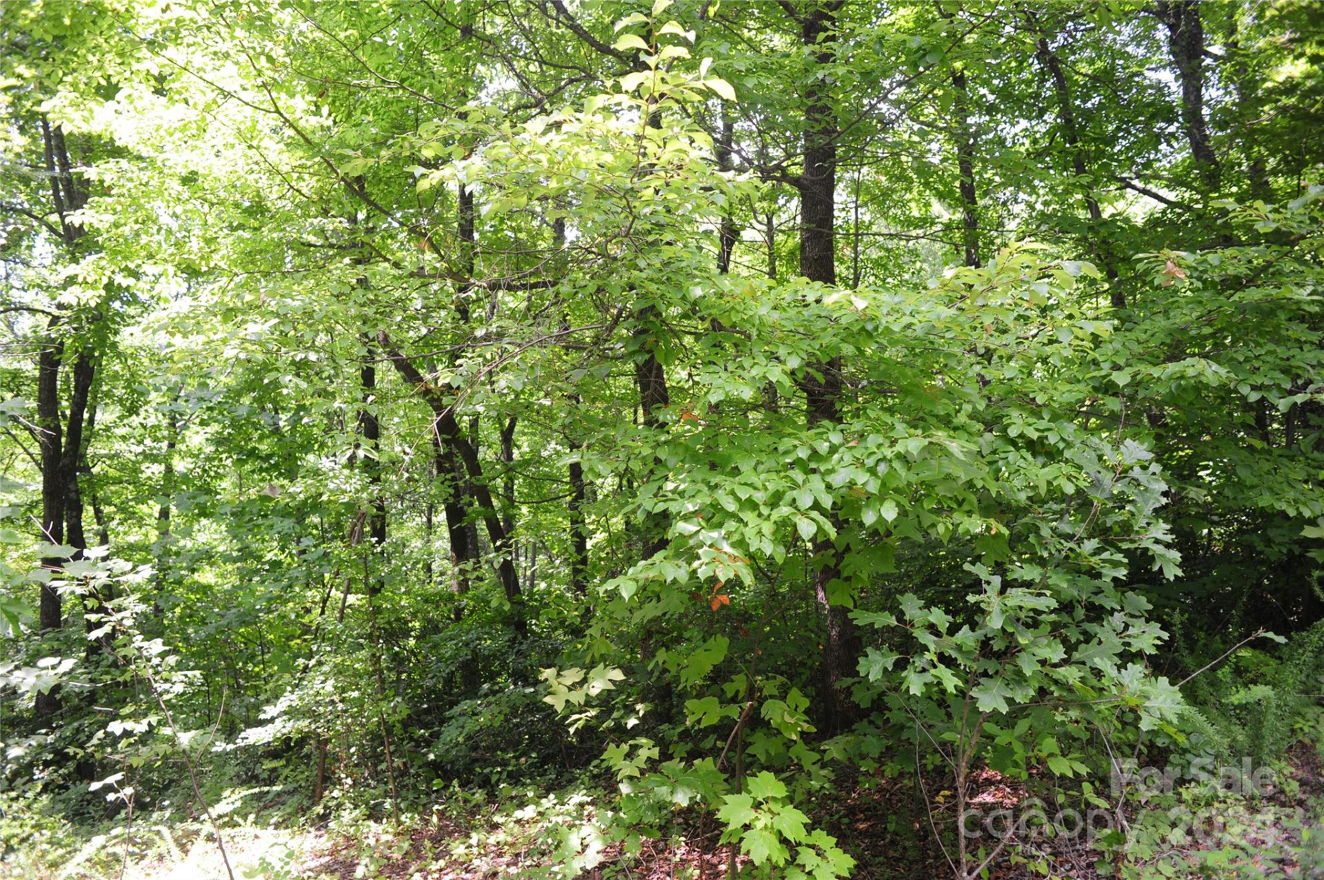 132 Ironwood Lane ##C17/C18 - Photo 6