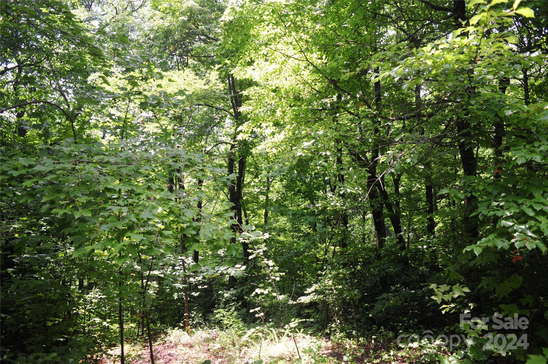 132 Ironwood Lane ##C17/C18 - Photo 7