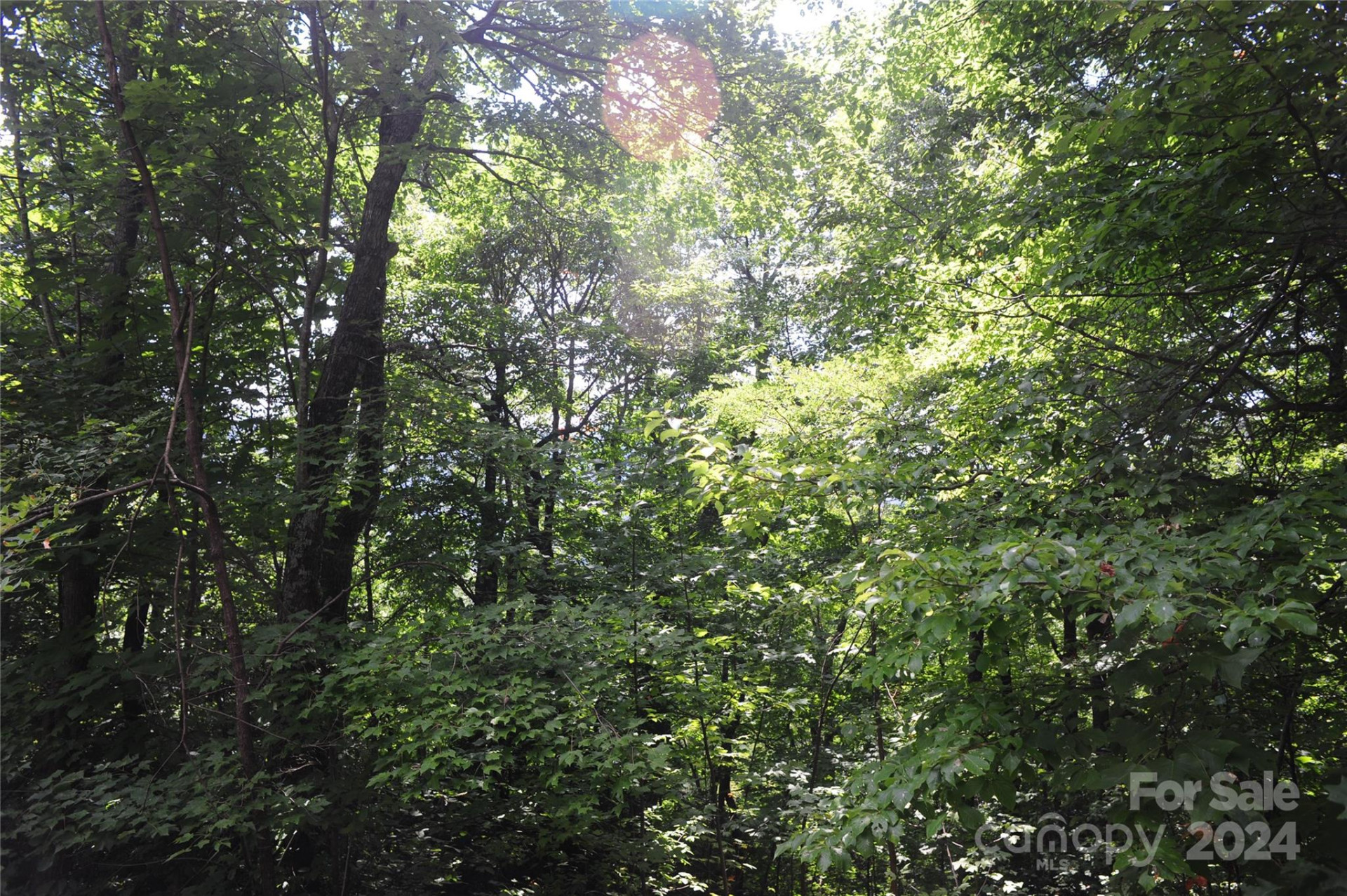 132 Ironwood Lane ##C17/C18 - Photo 8