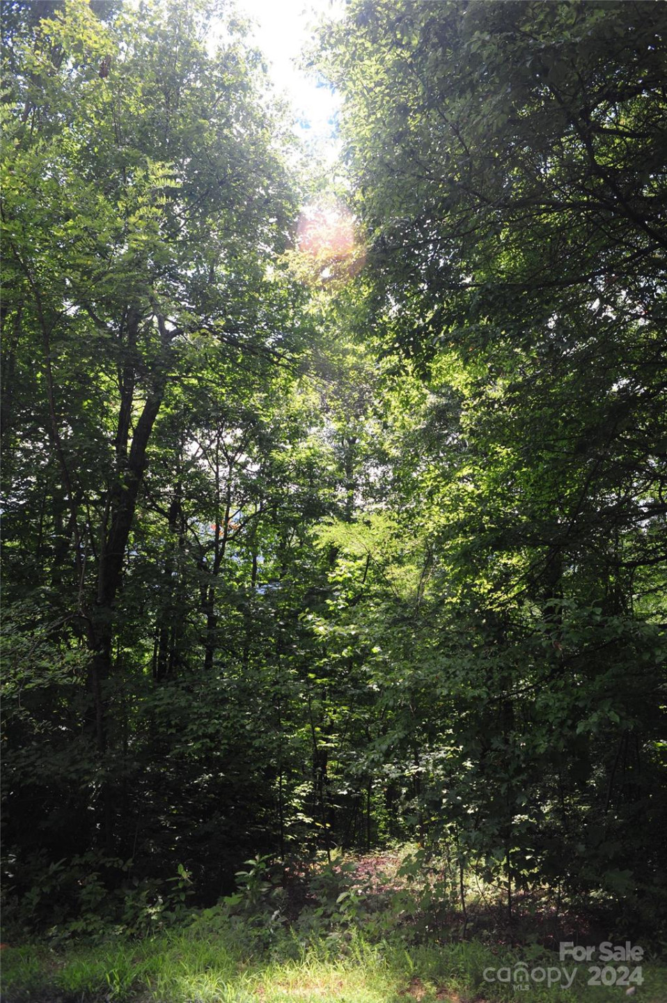 132 Ironwood Lane ##C17/C18 - Photo 9