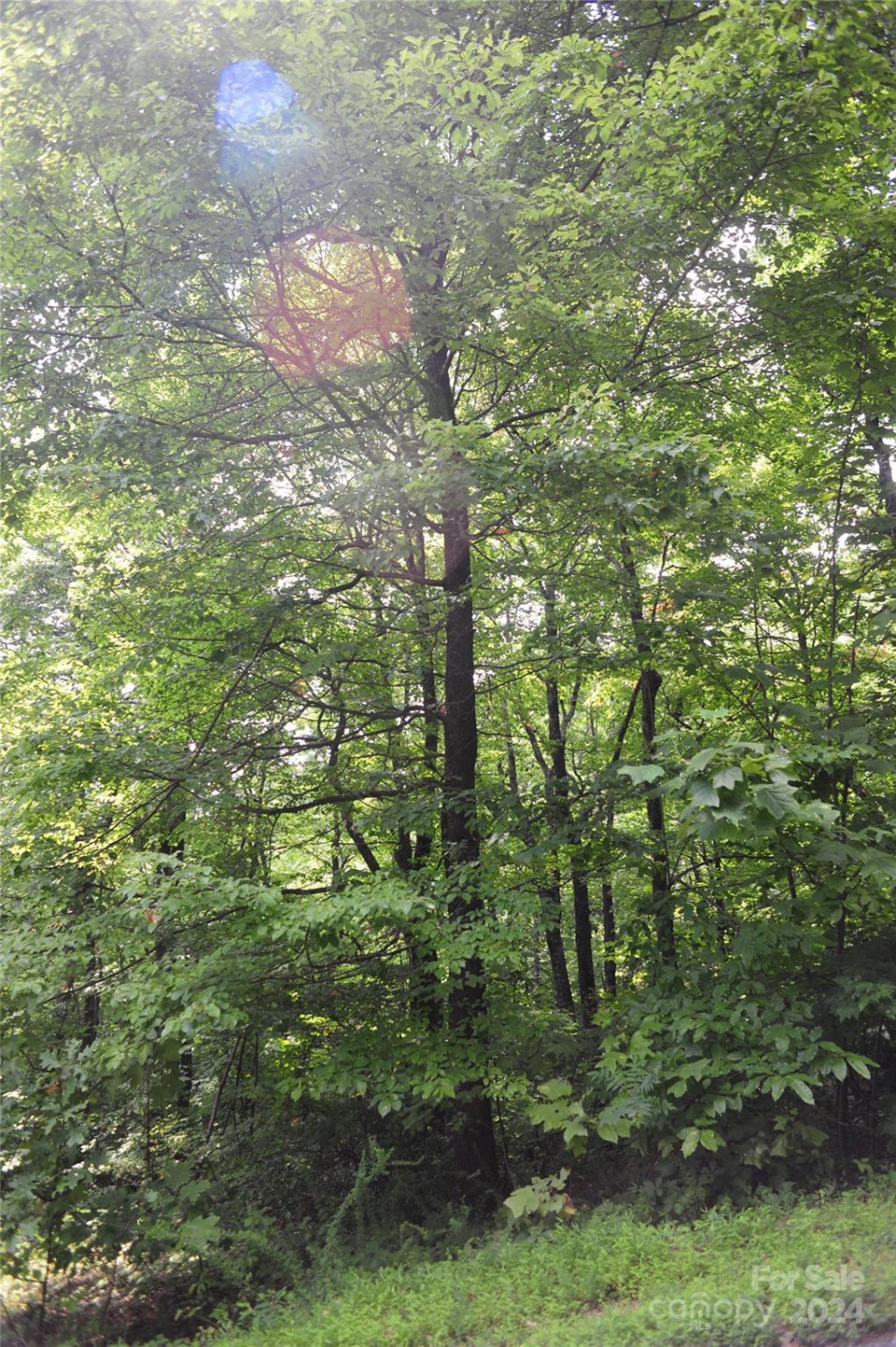 132 Ironwood Lane ##C17/C18 - Photo 10