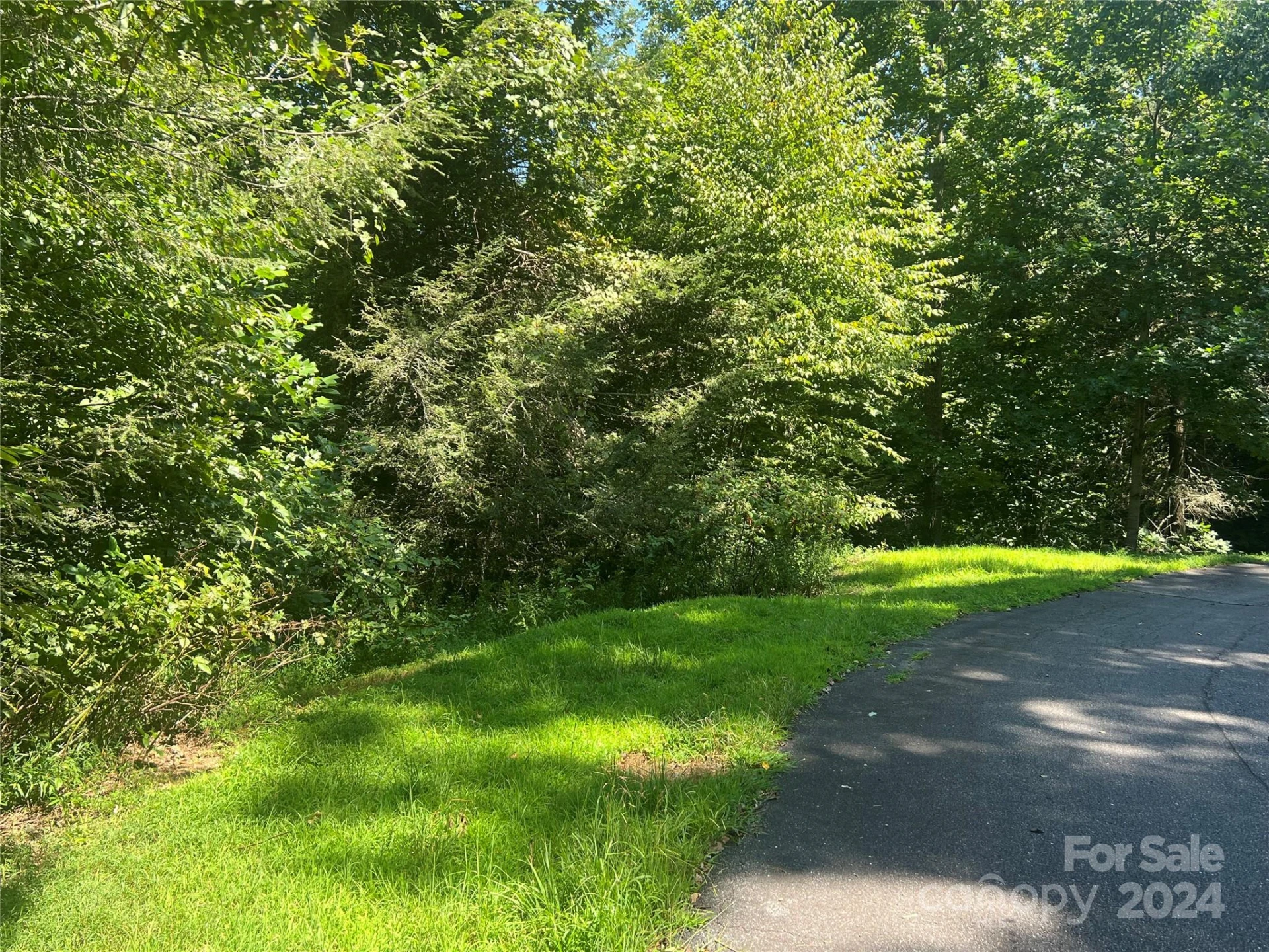 17 Harleys Cove Road #17 - Photo 4