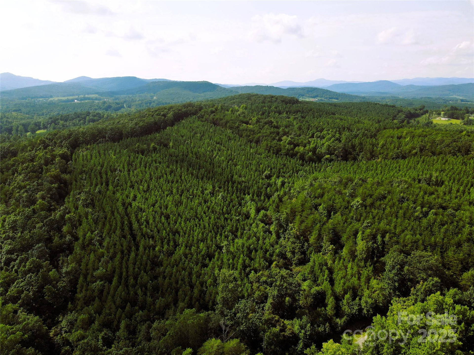 0 Irvin Road - Photo 2