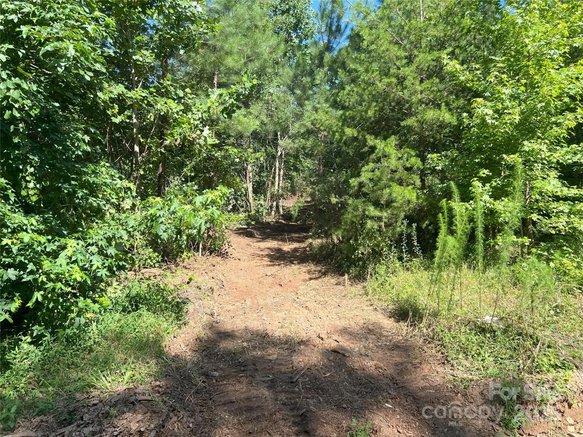 0 Irvin Road - Photo 11