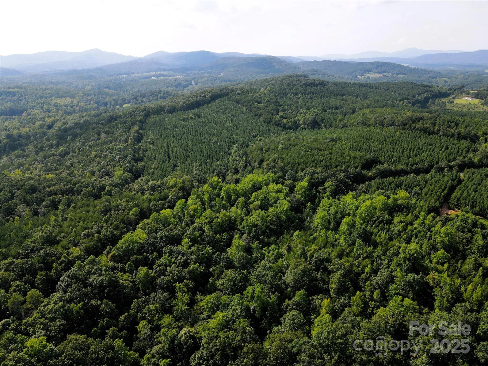 0 Irvin Road - Photo 12