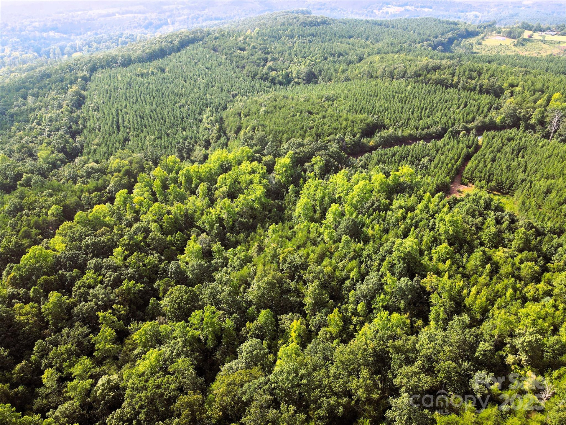 0 Irvin Road - Photo 14