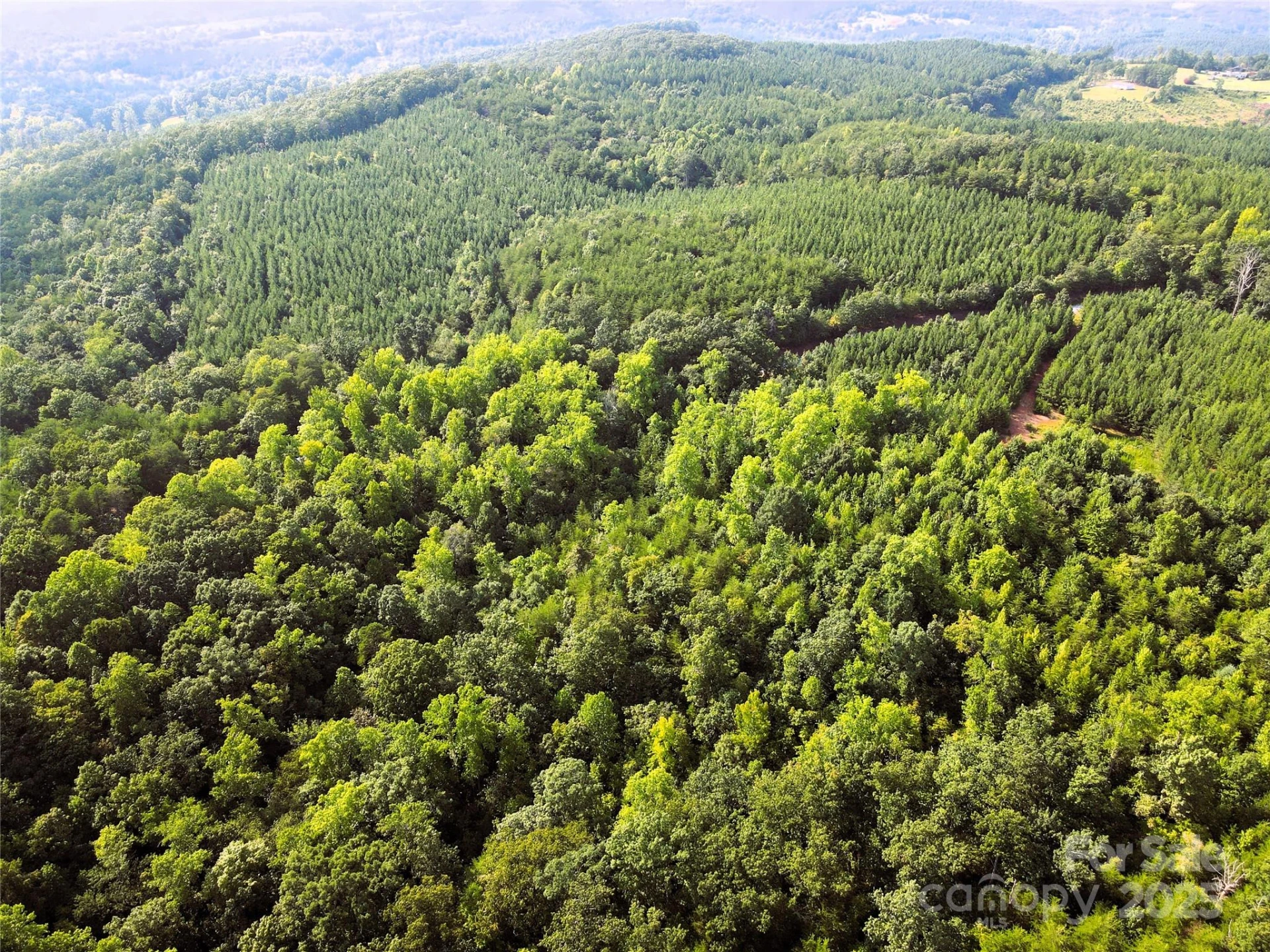 0 Irvin Road - Photo 14