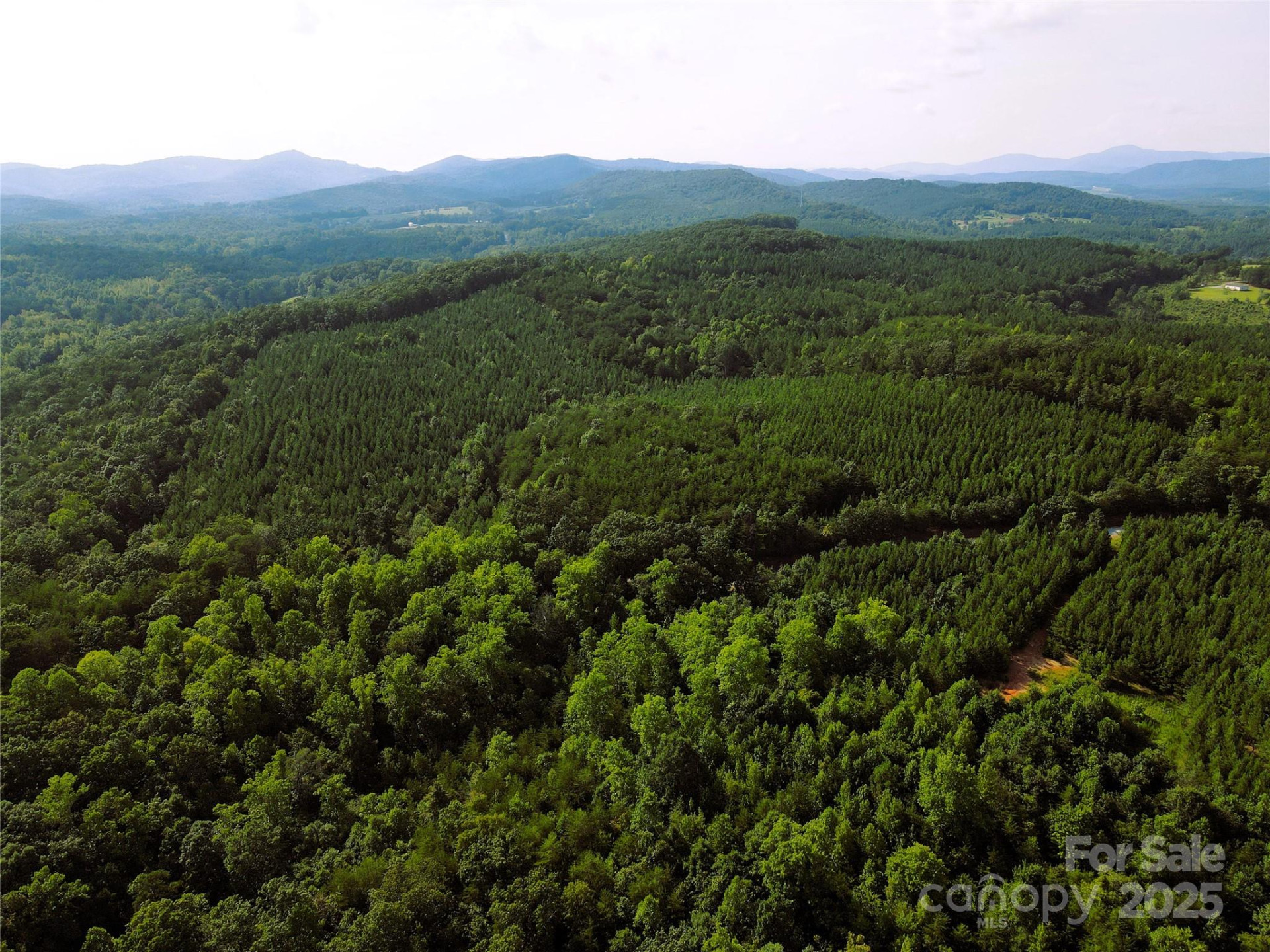 0 Irvin Road - Photo 17