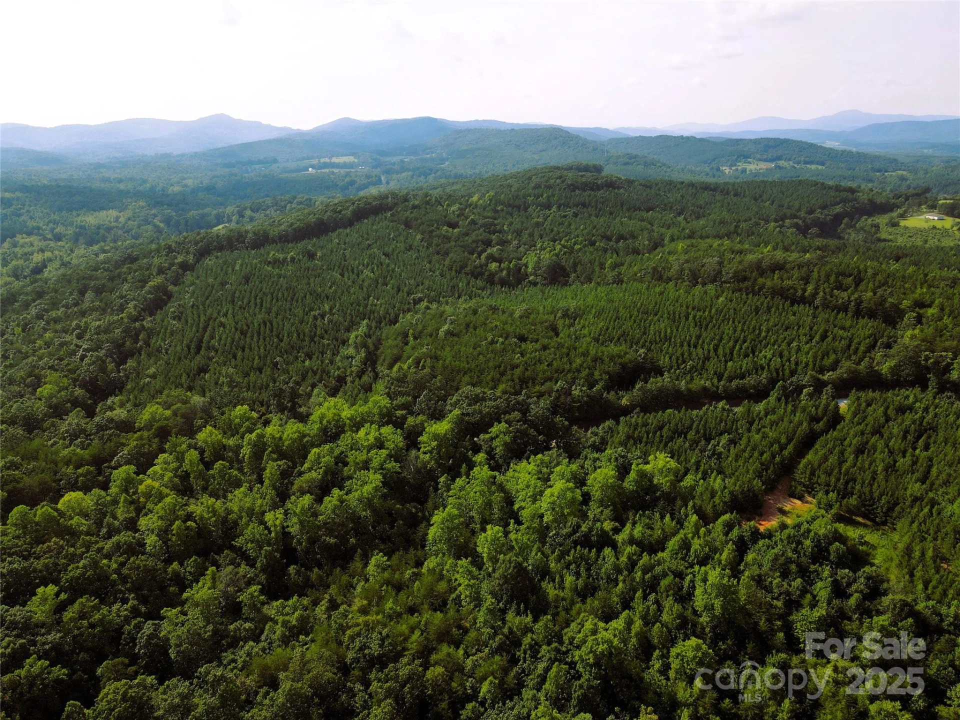 0 Irvin Road - Photo 17