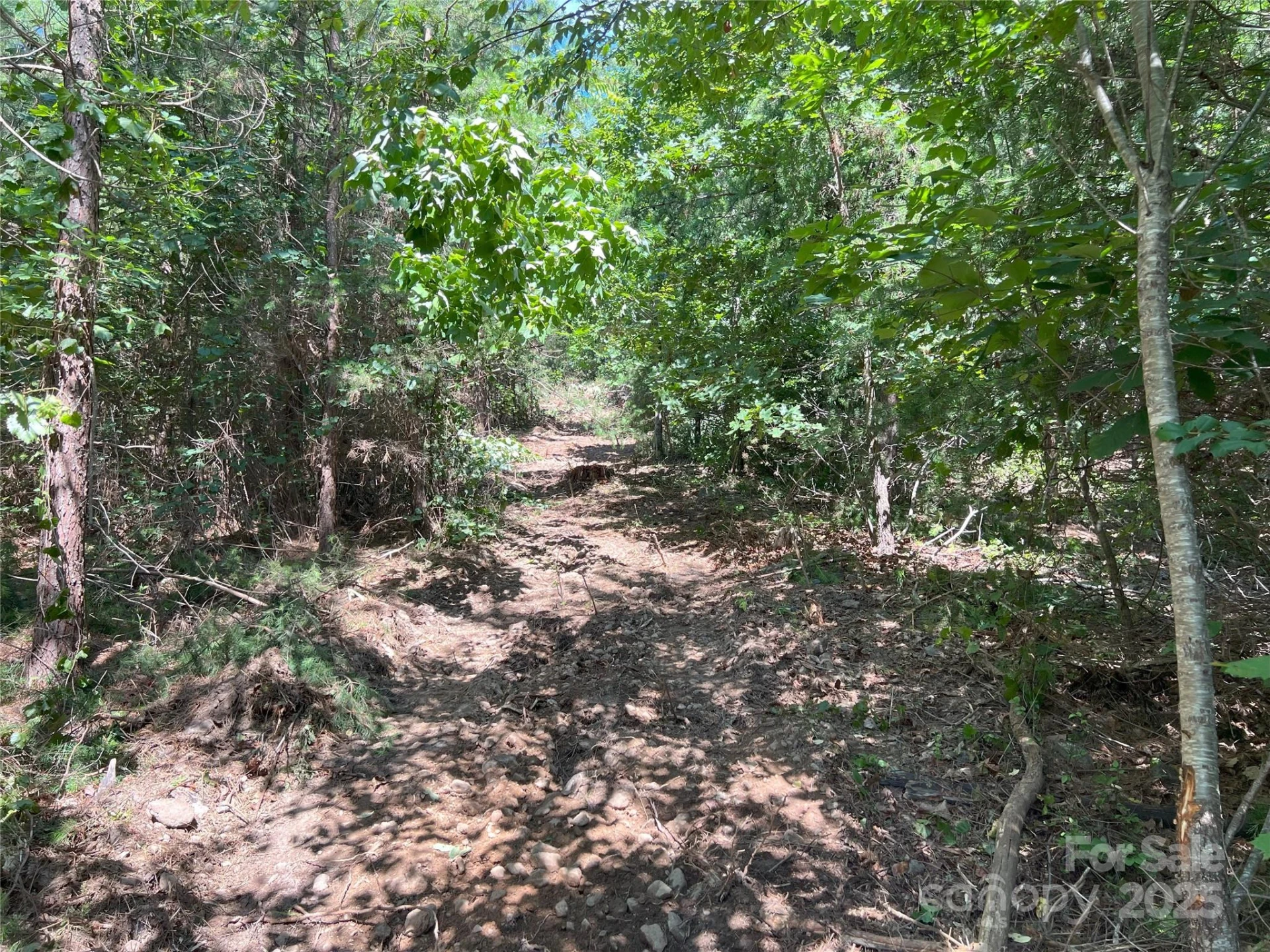 0 Irvin Road - Photo 18