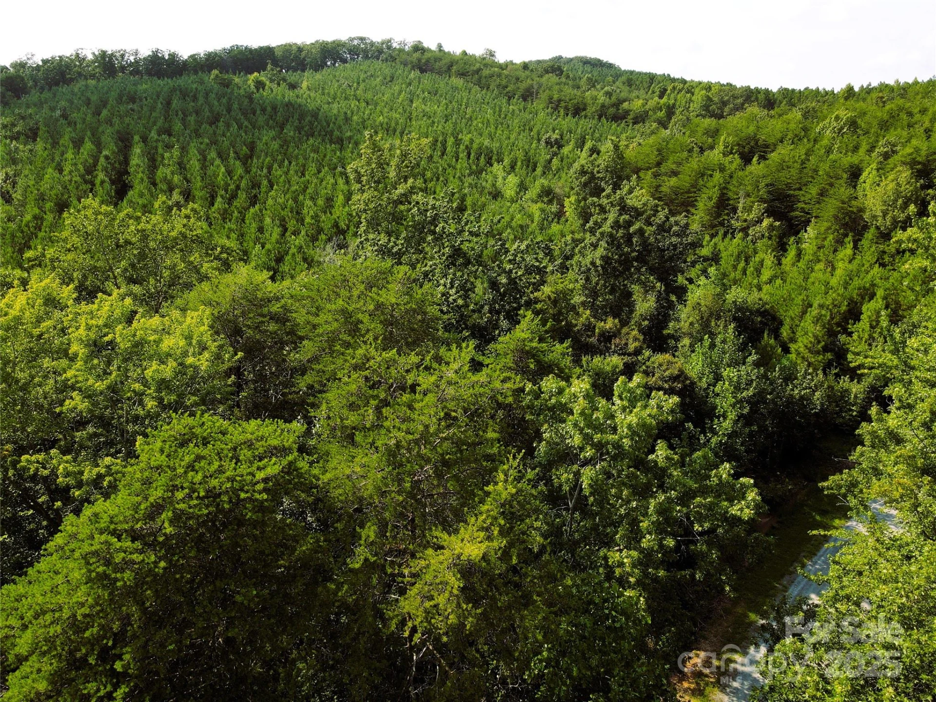 0 Irvin Road - Photo 4