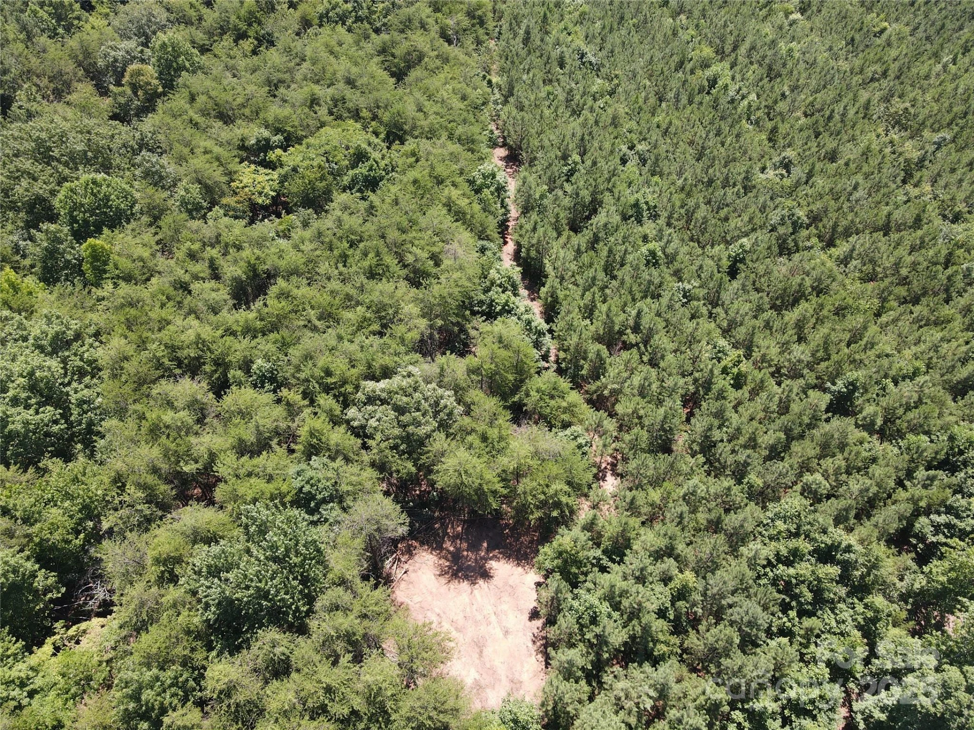 0 Irvin Road - Photo 6