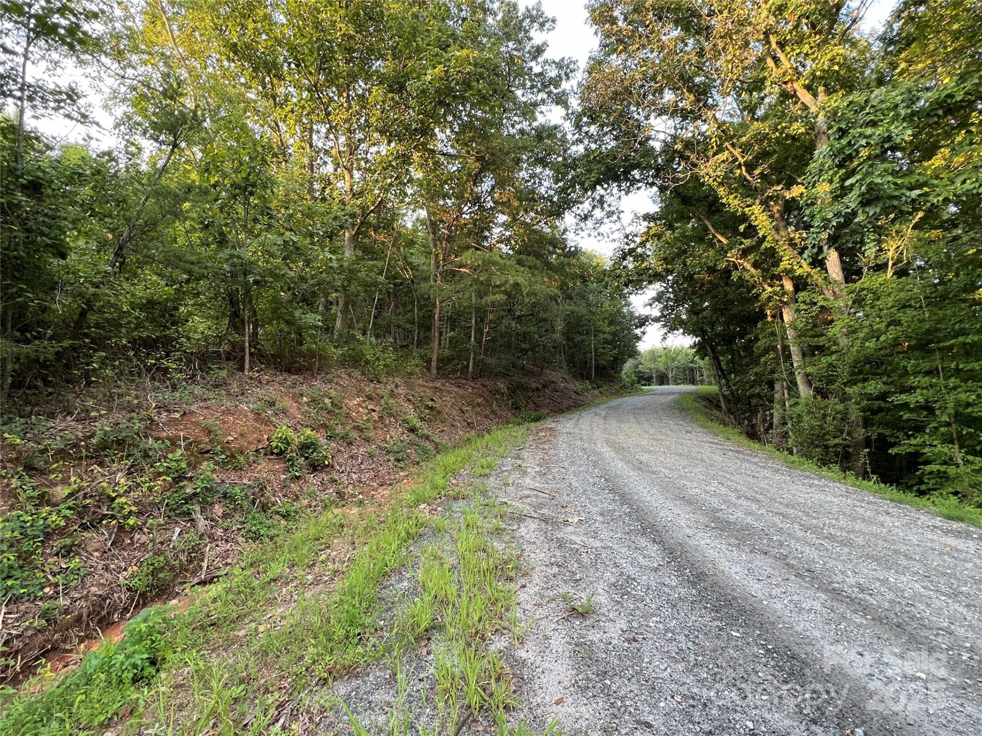 0 Irvin Road - Photo 8