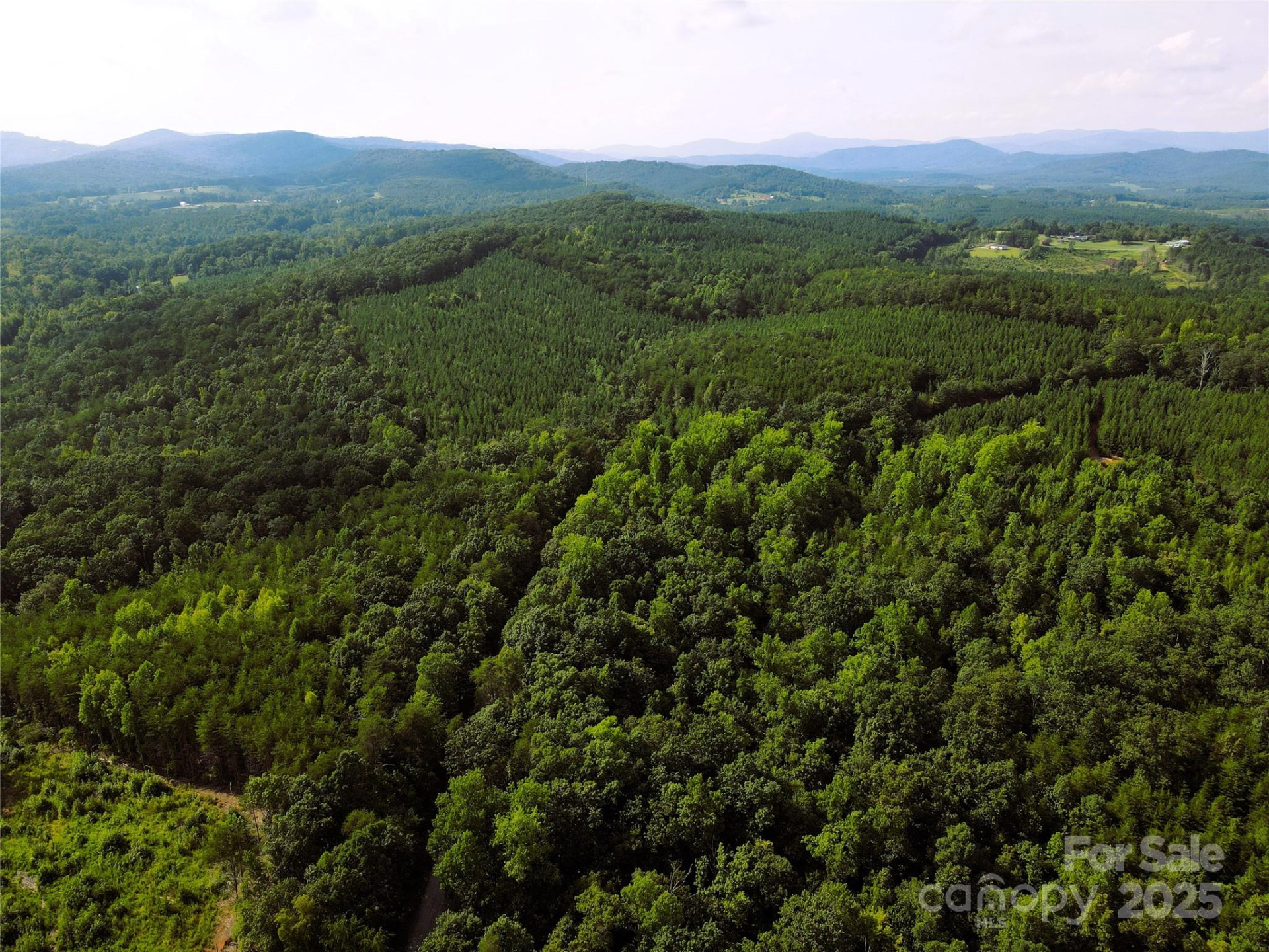 0 Irvin Road - Photo 10