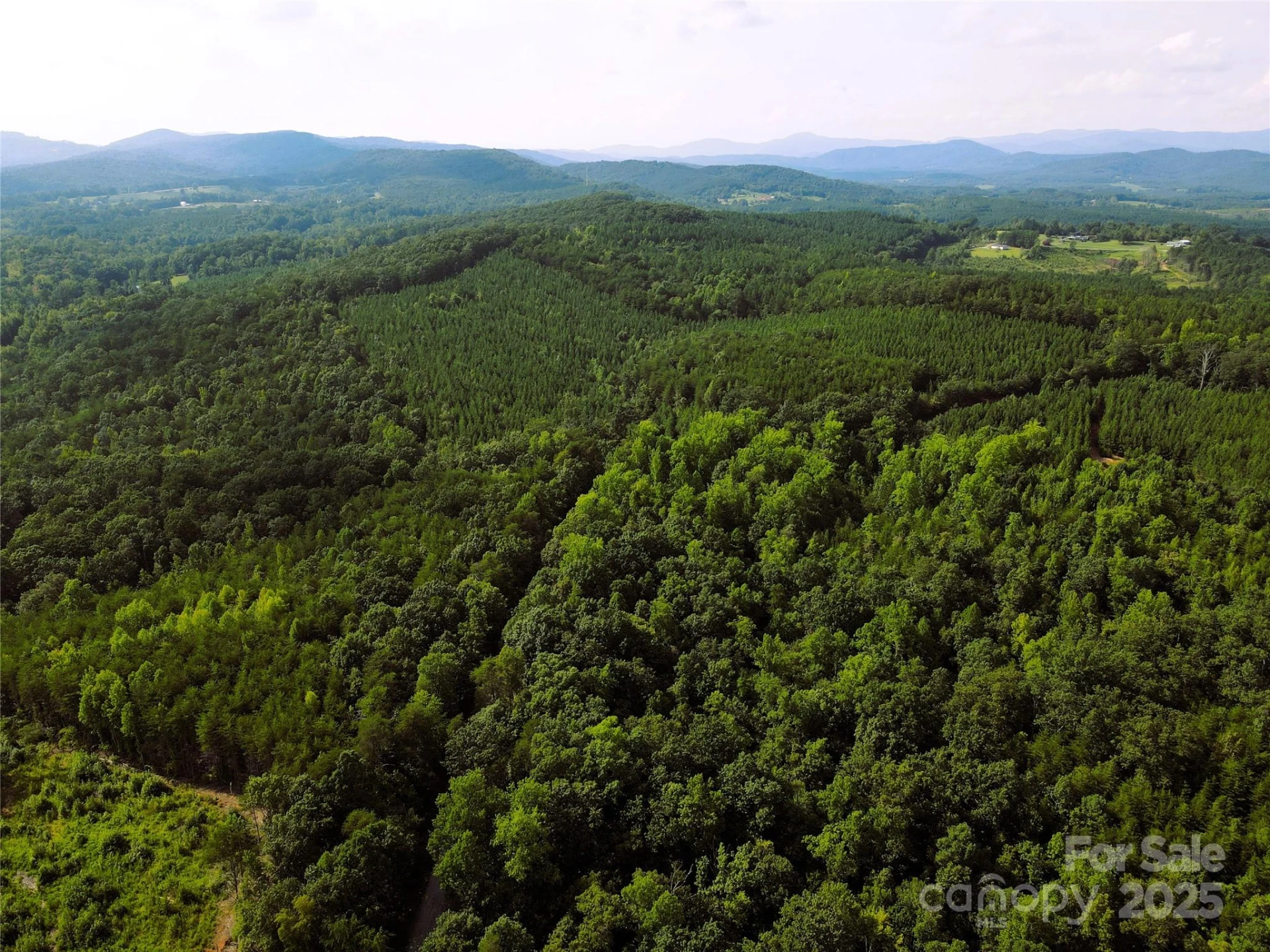 0 Irvin Road - Photo 10