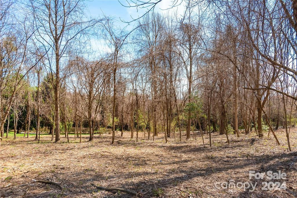 000 BERRY CREEK Drive - Photo 6