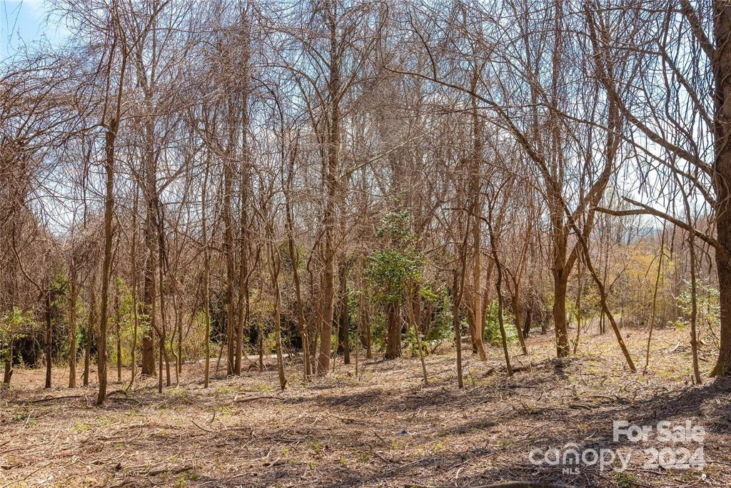 000 BERRY CREEK Drive - Photo 8
