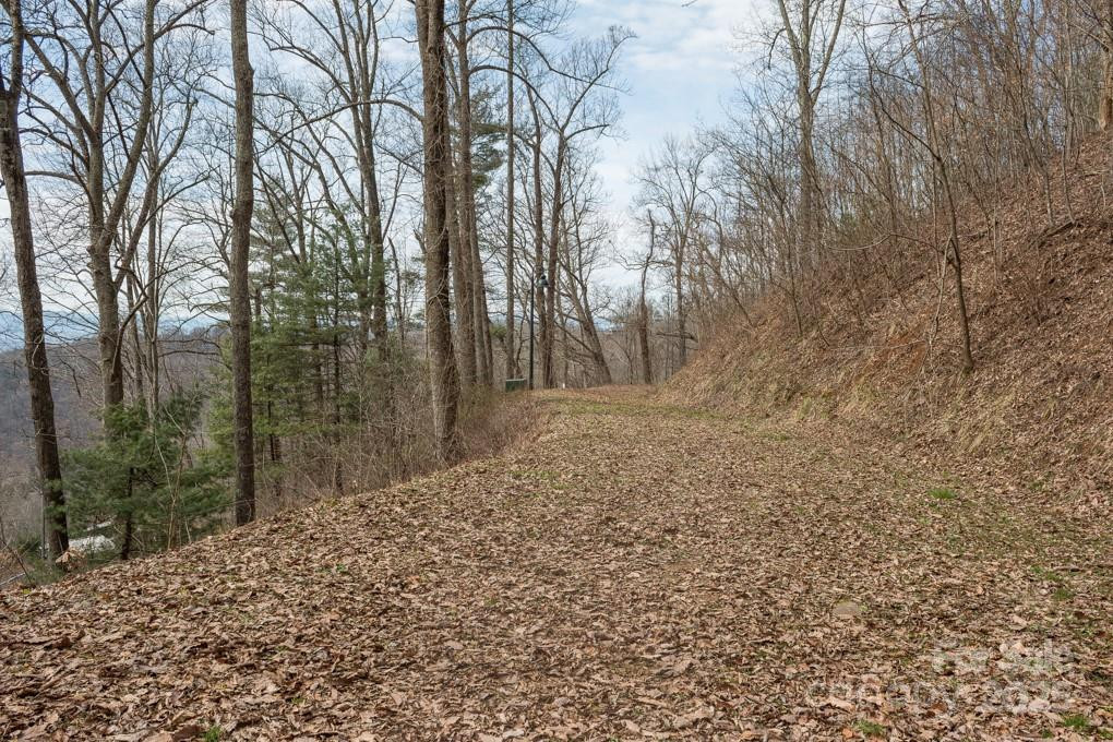 999 Falconwood Lane #20 and 21 - Photo 11