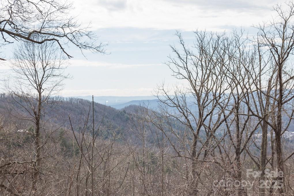 999 Falconwood Lane #20 and 21 - Photo 15