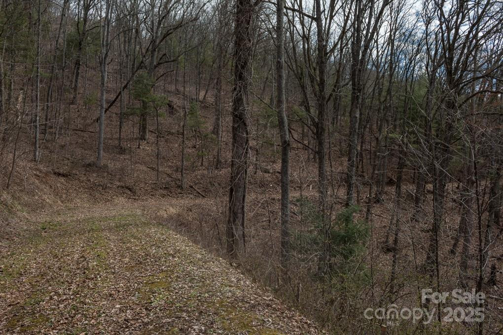 999 Falconwood Lane #20 and 21 - Photo 3