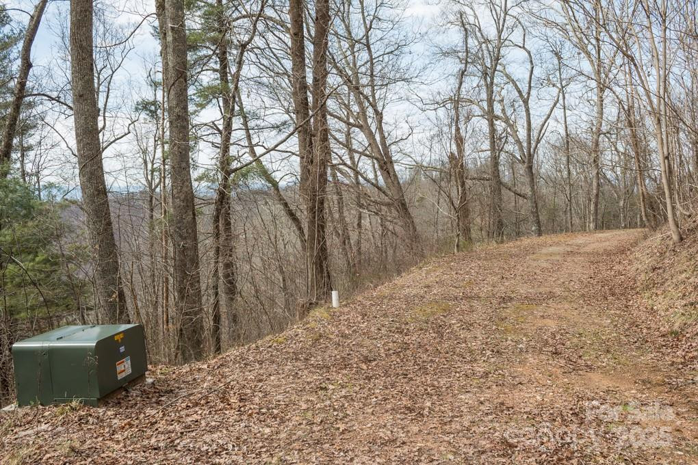 999 Falconwood Lane #20 and 21 - Photo 6